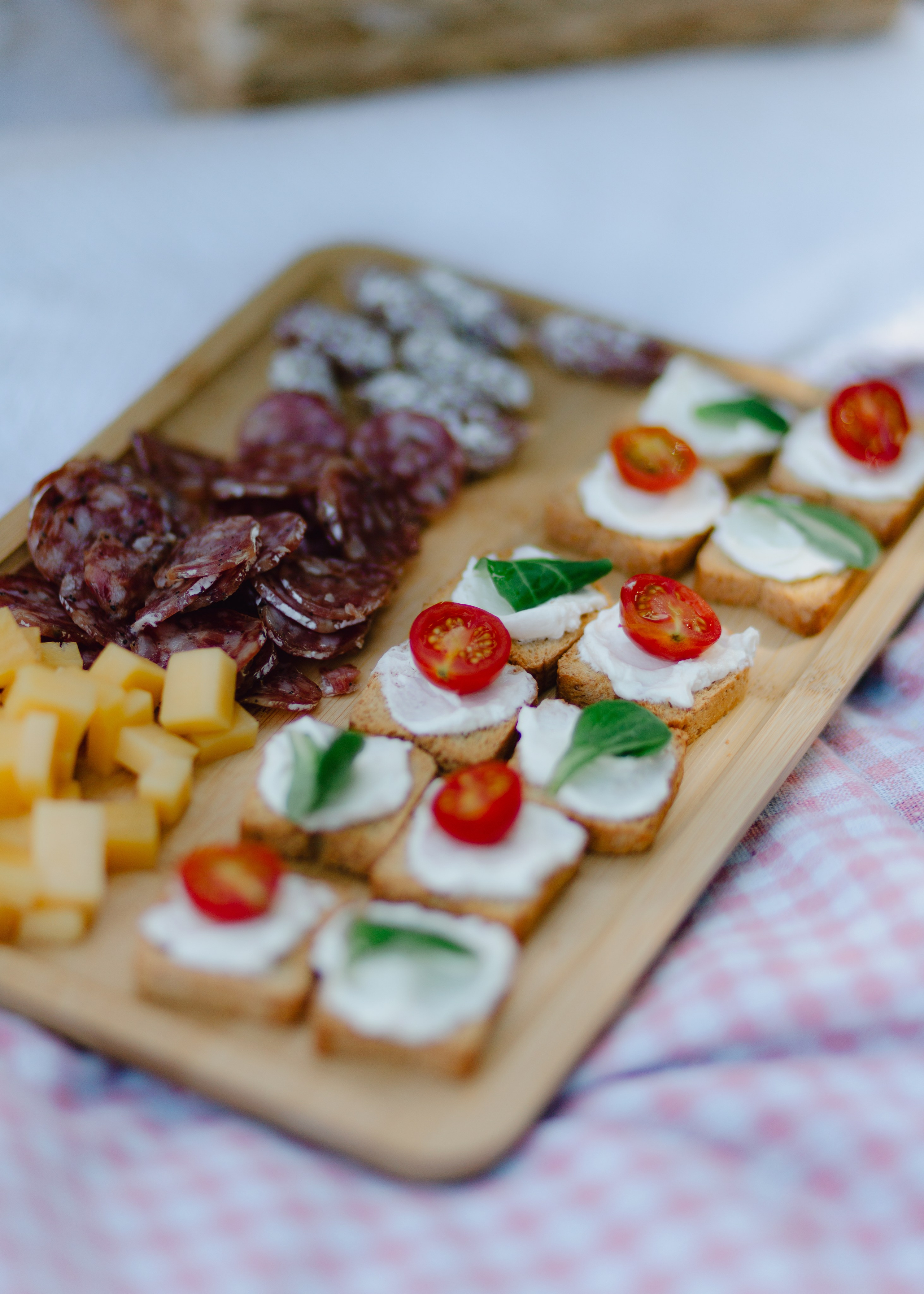 Picnic Pals. Barbara Isaeva