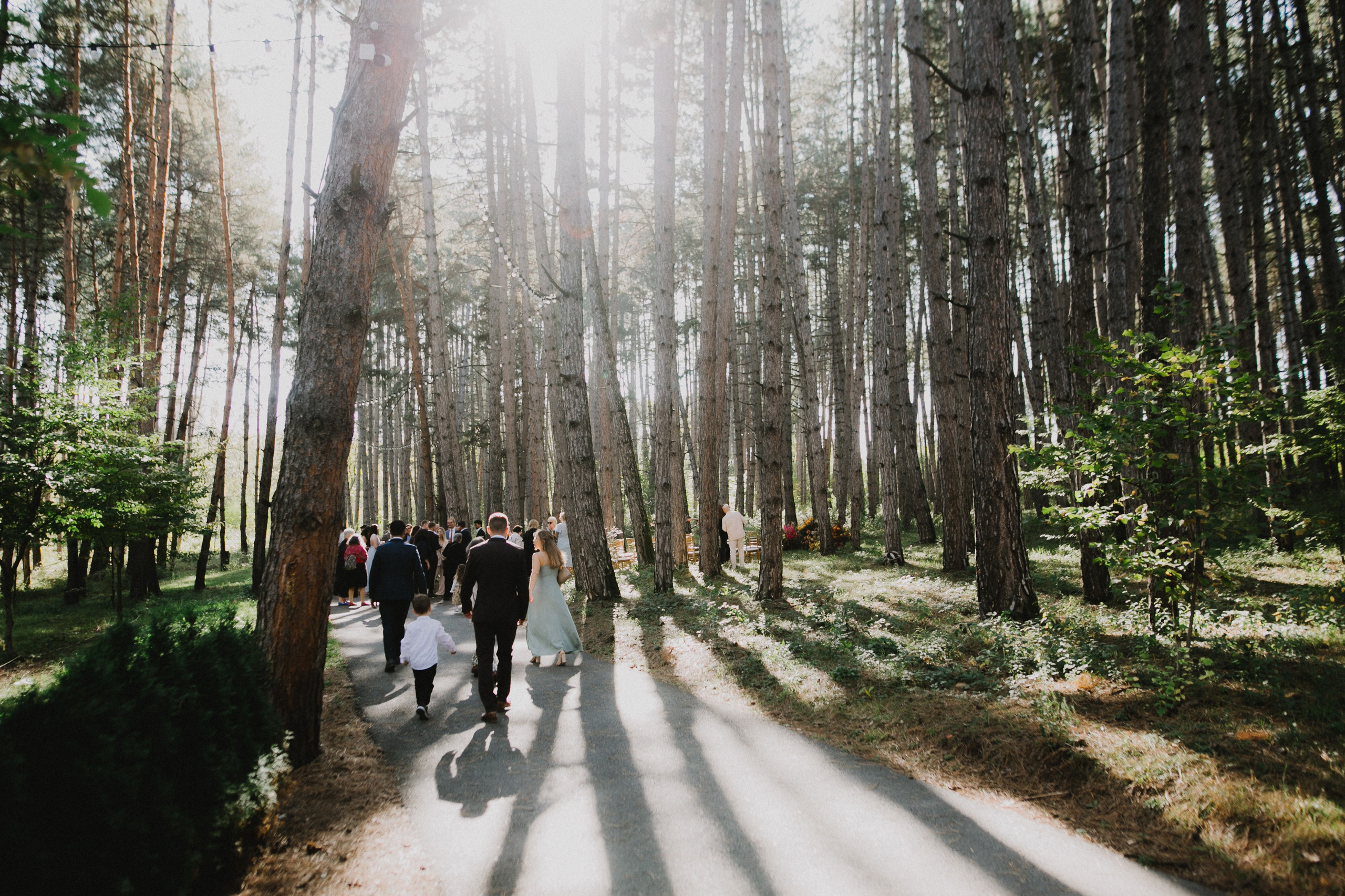 Teya & Jan. Kakheti wedding. Свадебный фотограф Грузия Alex and Polly