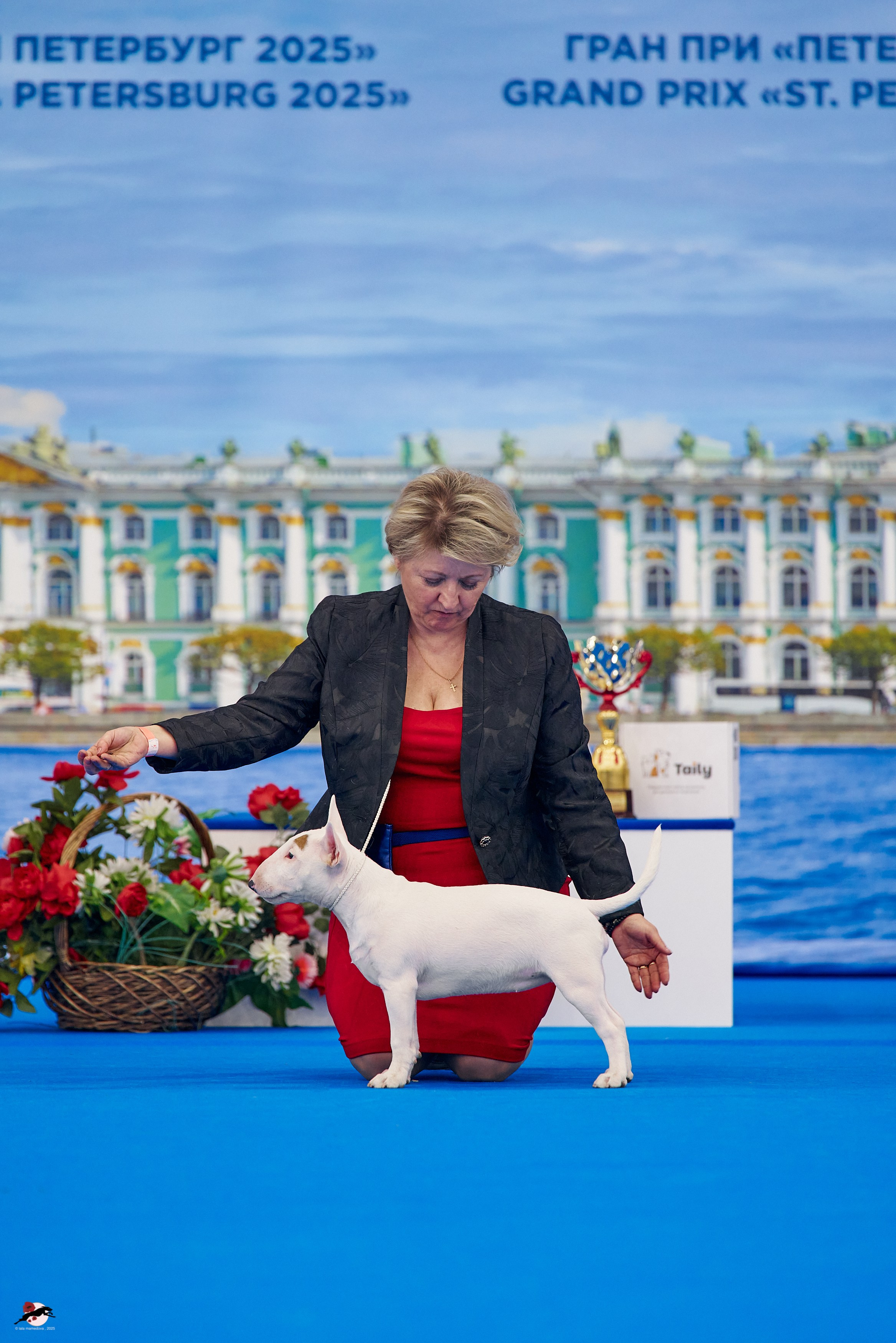 27.04.2025 | "Петербург-Элита 2025" & «КУБОК «ЭЛИТЫ»-2025»