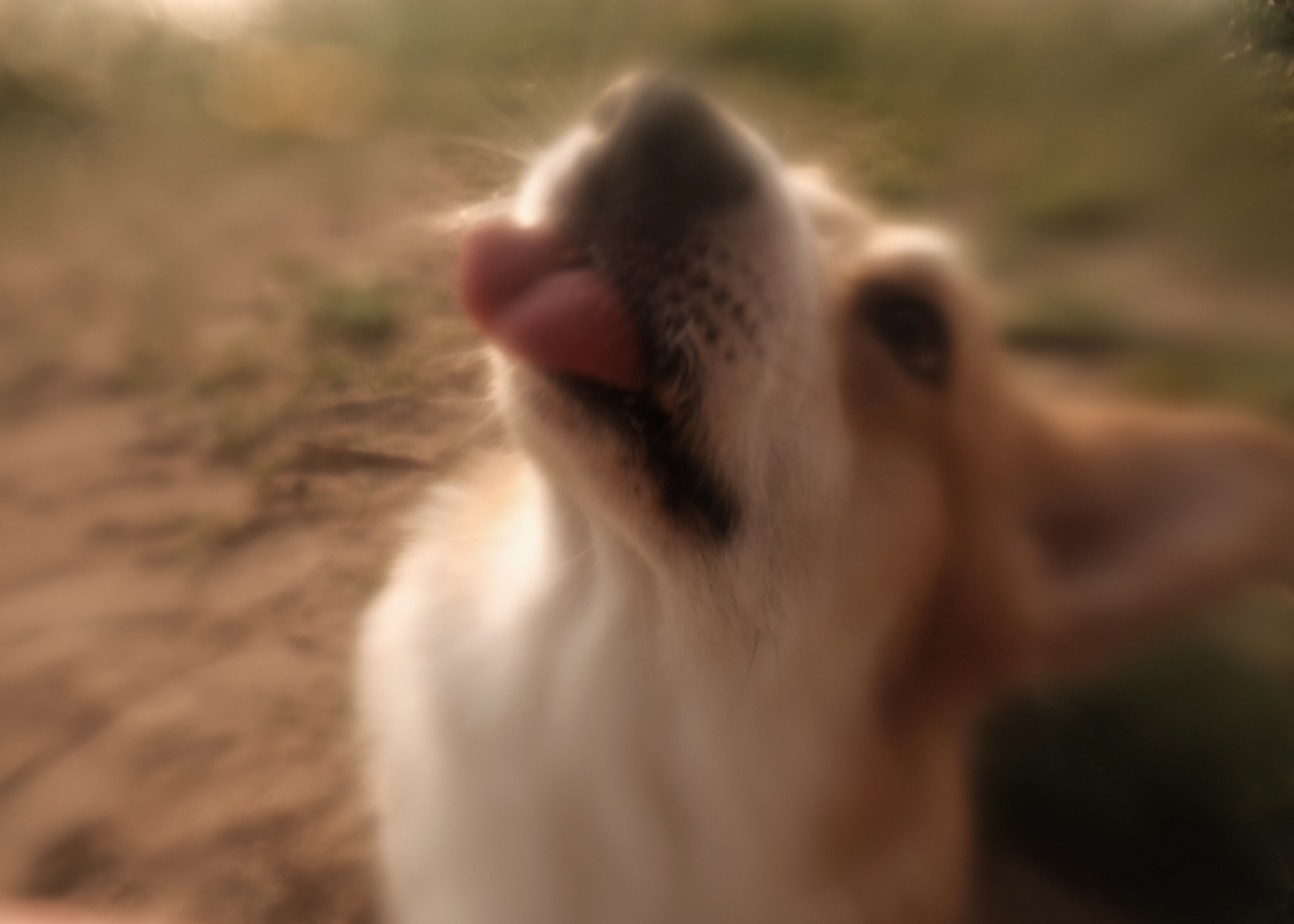 Shark and Hum. Портретный фотограф DanilNabody