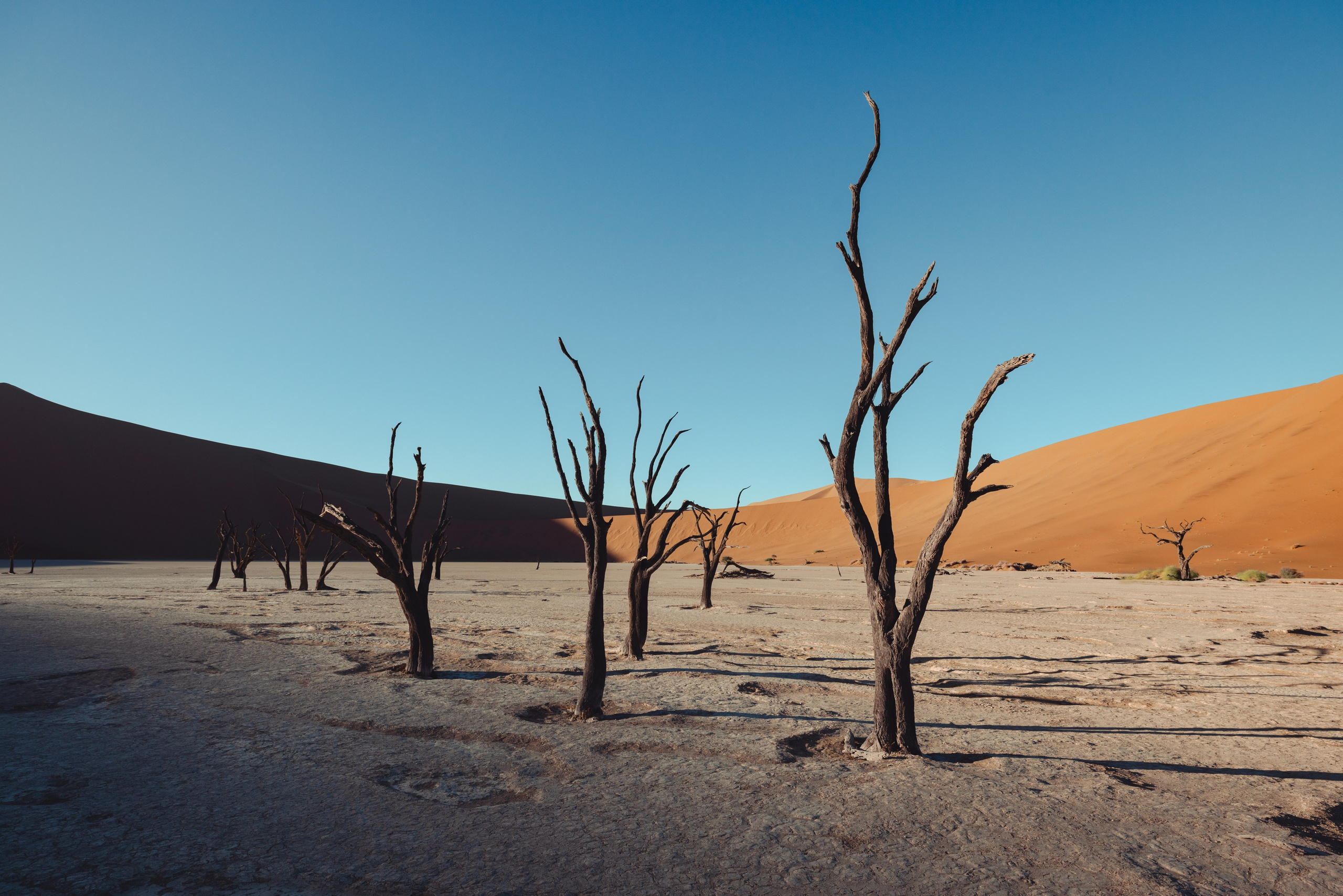 Namibia. Алексей Mollino… Фотографии и немножечко больше
