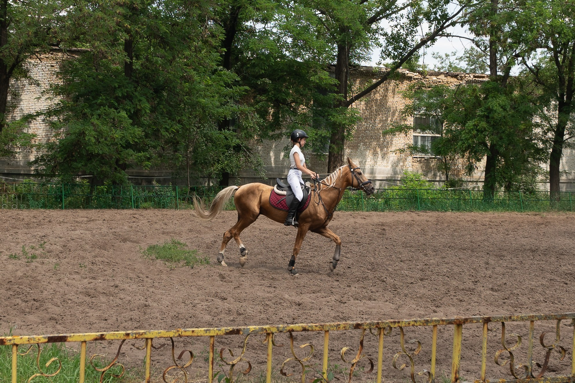 Соревнования по конкуру, Луганск. Фотограф в РФ и ЛНР Юлия Федосеева