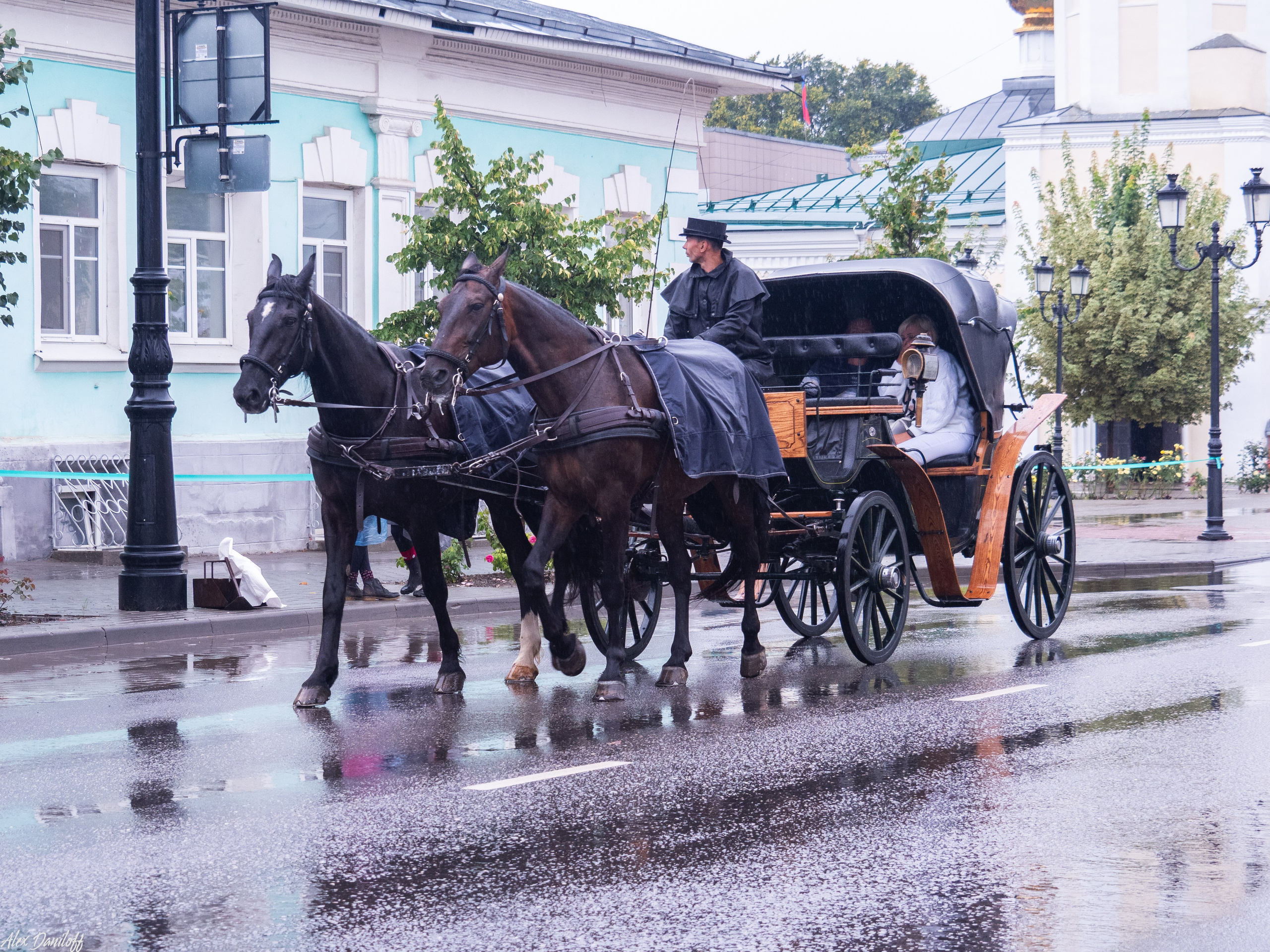 День города Муром 2025. Муром-Инфо. Новости культуры, образования, спорта в городе Муром