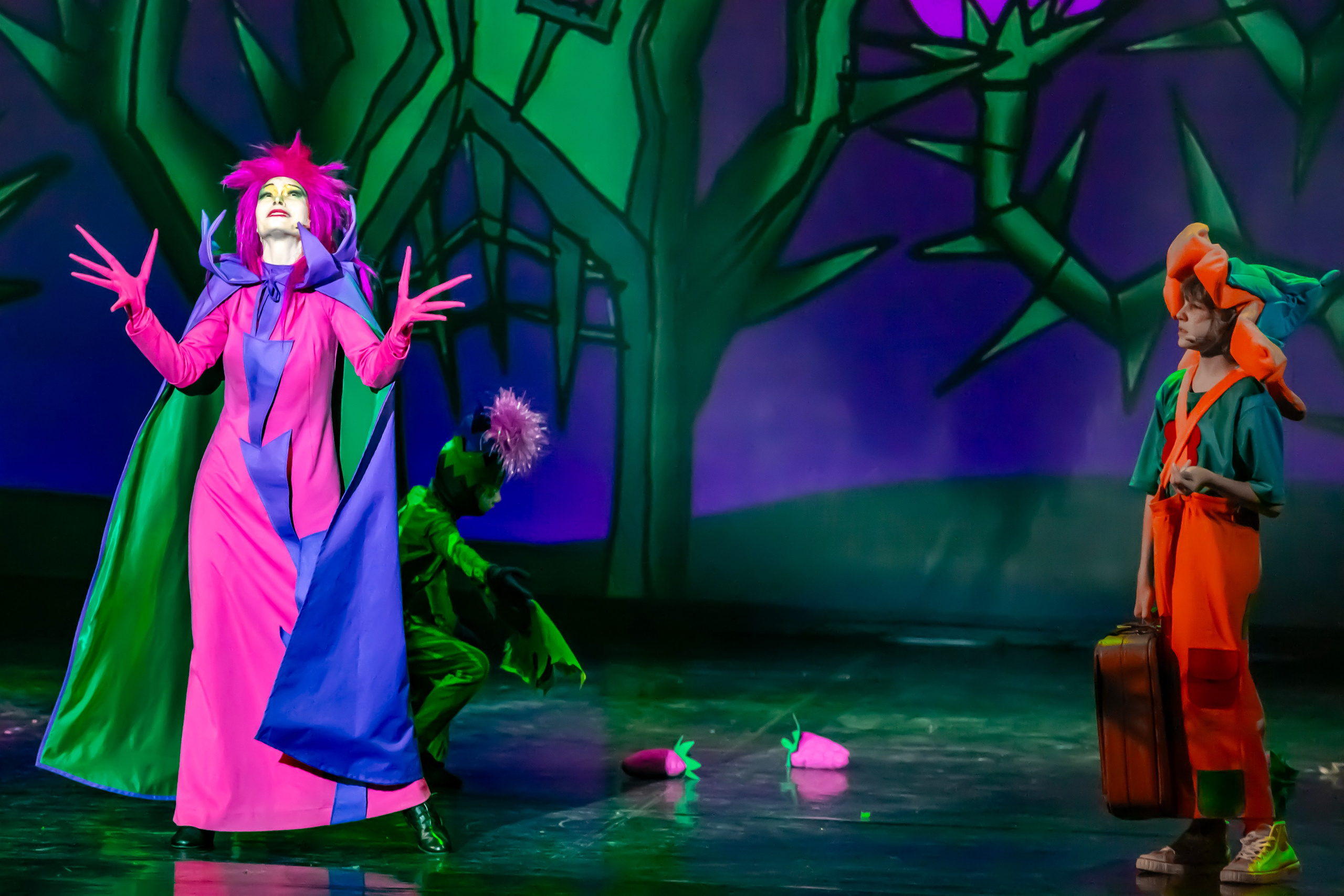 Мюзикл «Незнайка в царстве малюток» премьера Сочи солнышки и Сочи Соло. Фотограф в Сочи Юрий Шептаев