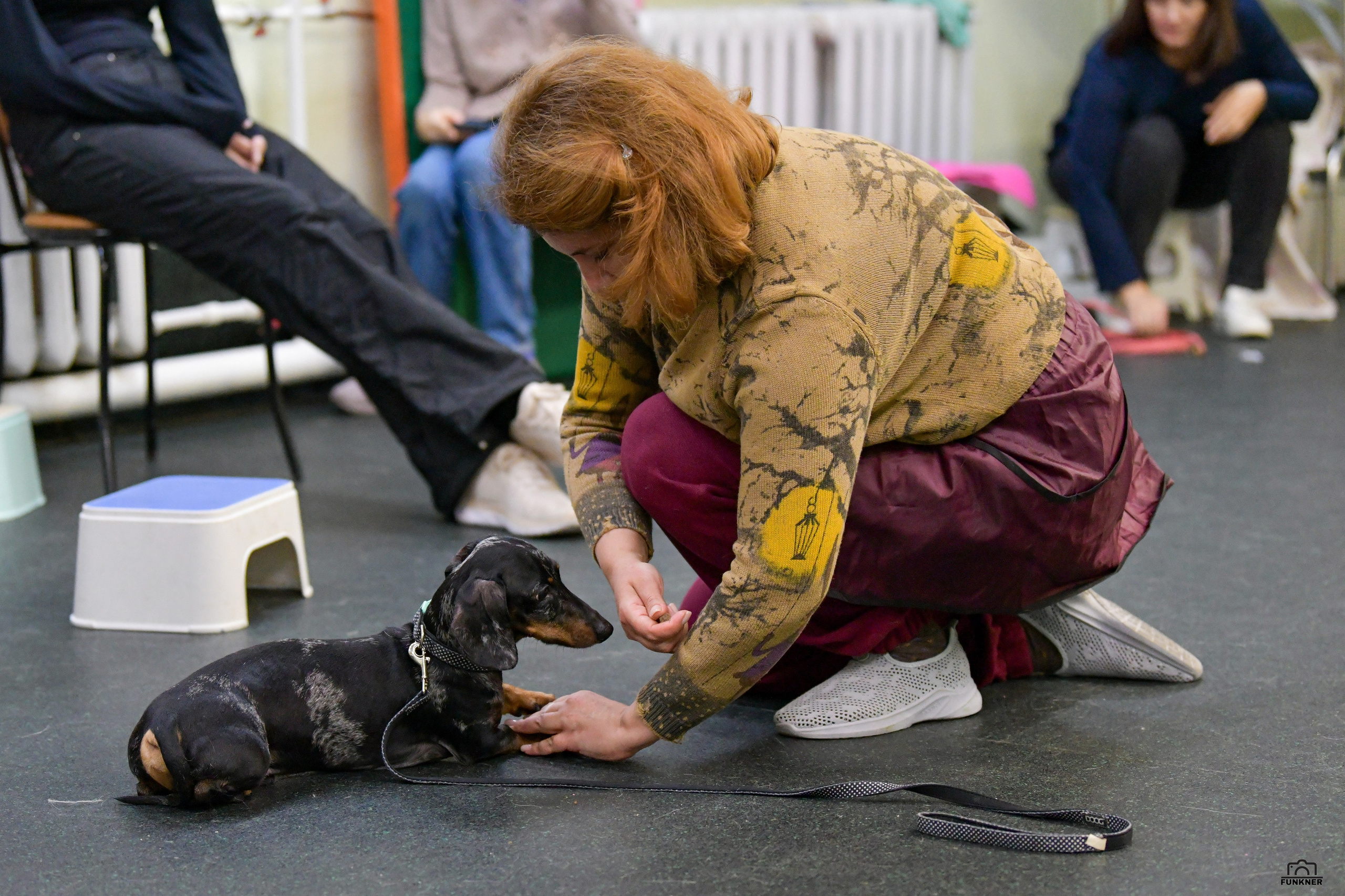Кинологический клуб «Бодрый хвост». Свой взгляд через объектив