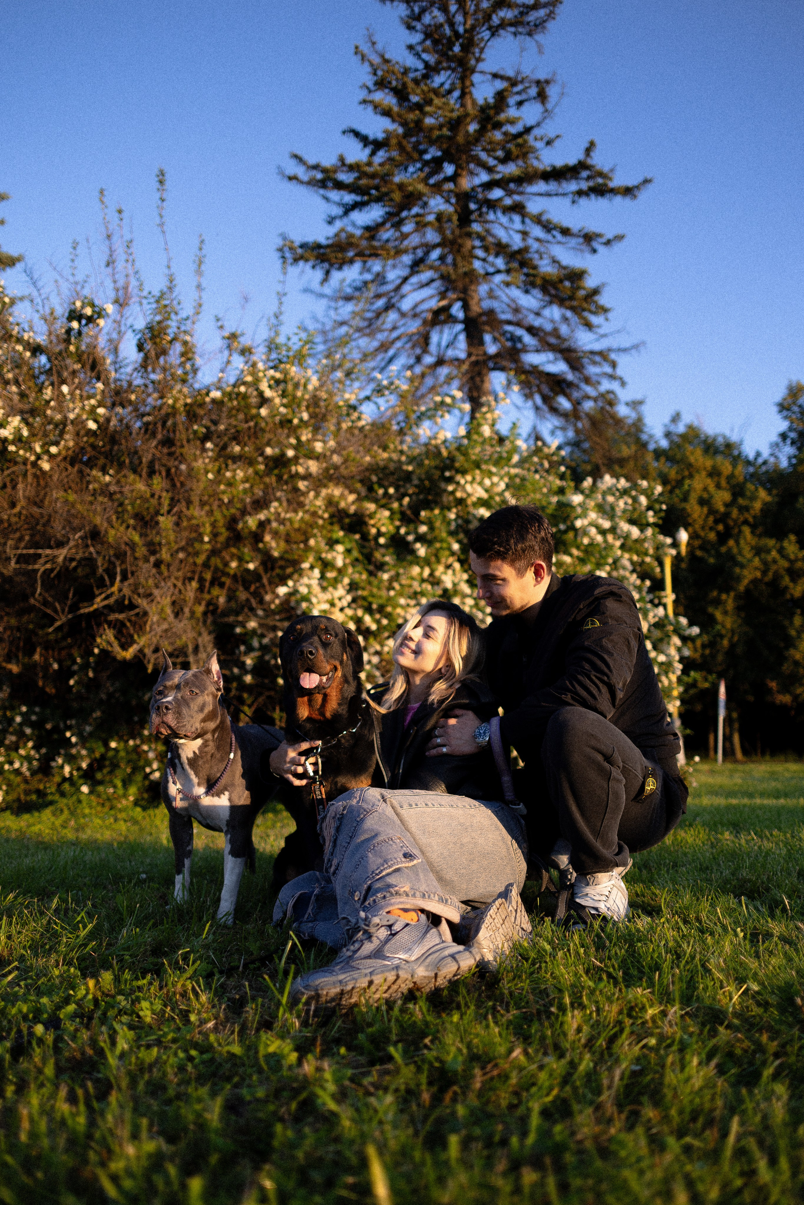 Катя, Леша, Лея и Трой. Фотограф и видеограф анималист Аганина Дарья