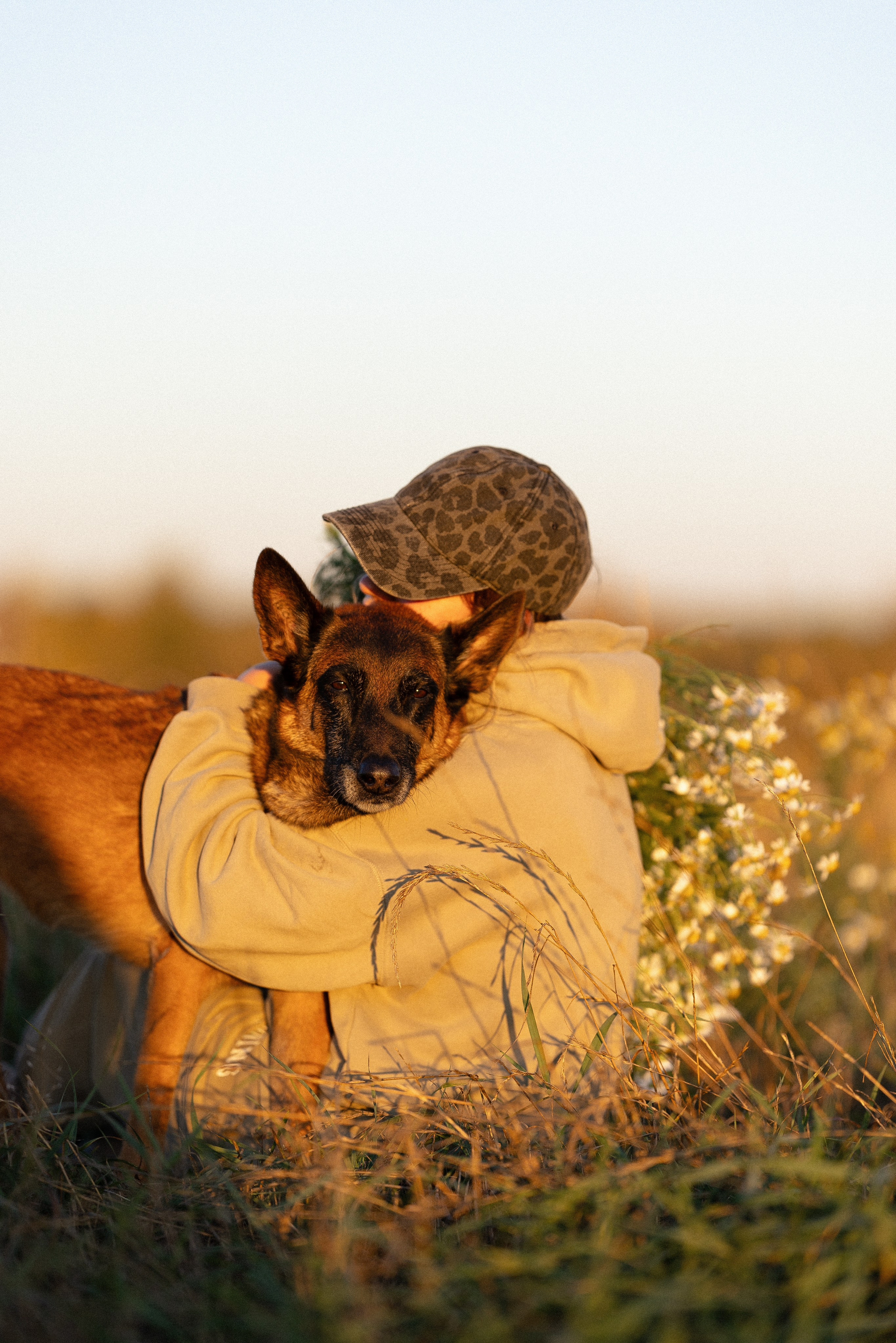 Женя, Афра и Молли. Фотограф и видеограф анималист Аганина Дарья