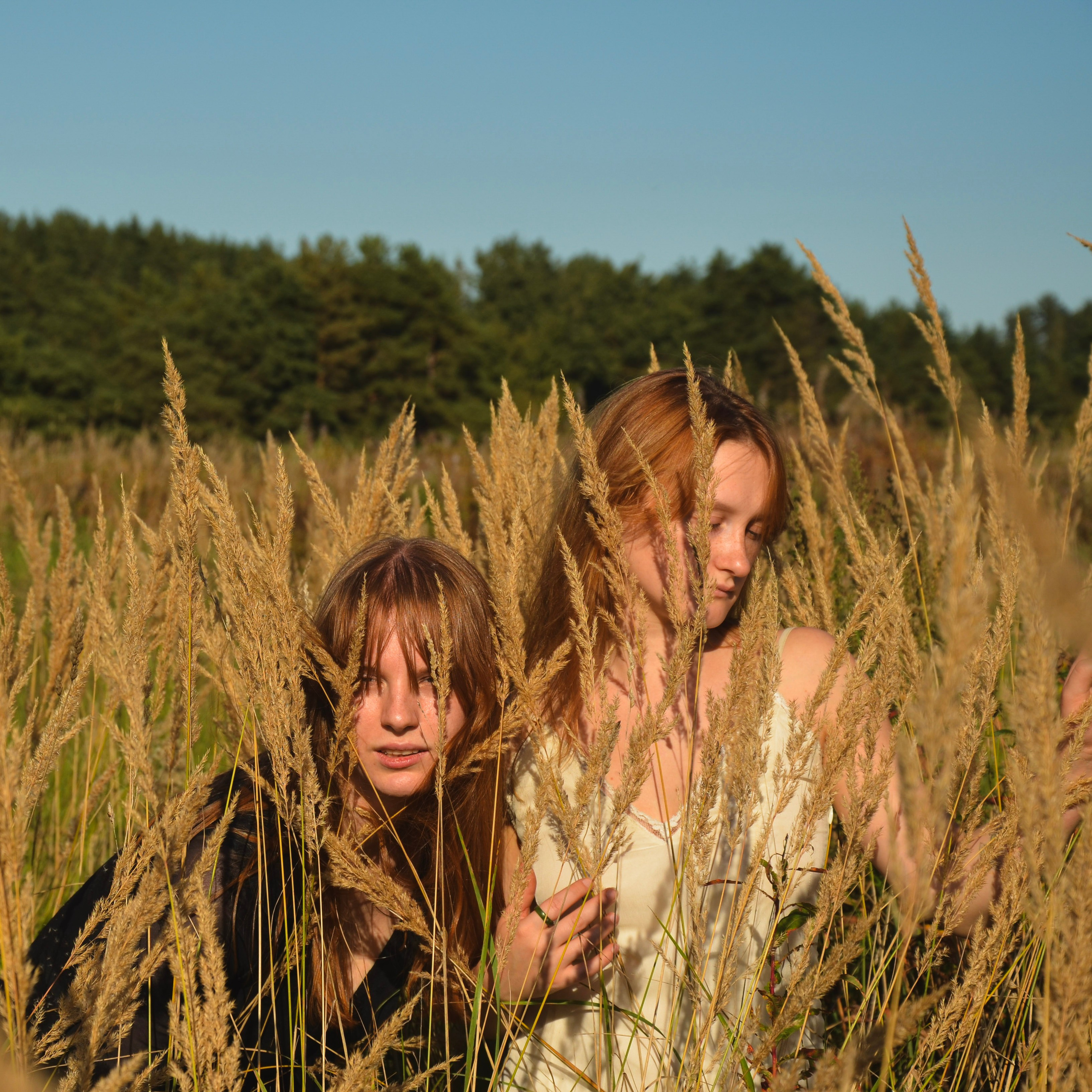 Колосья. Фотограф СПб | Лесная фотосессия