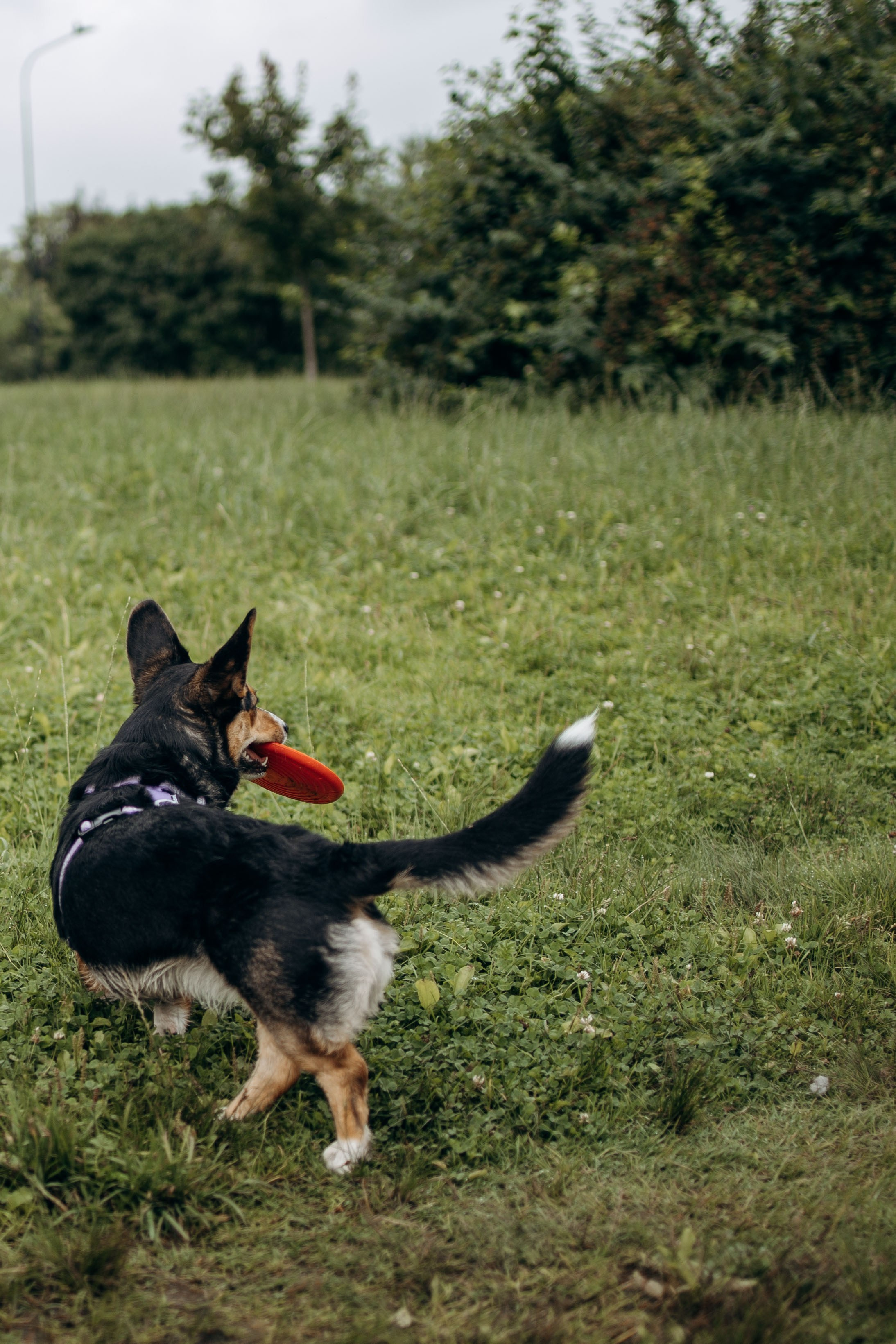 Тамара и Бусинка