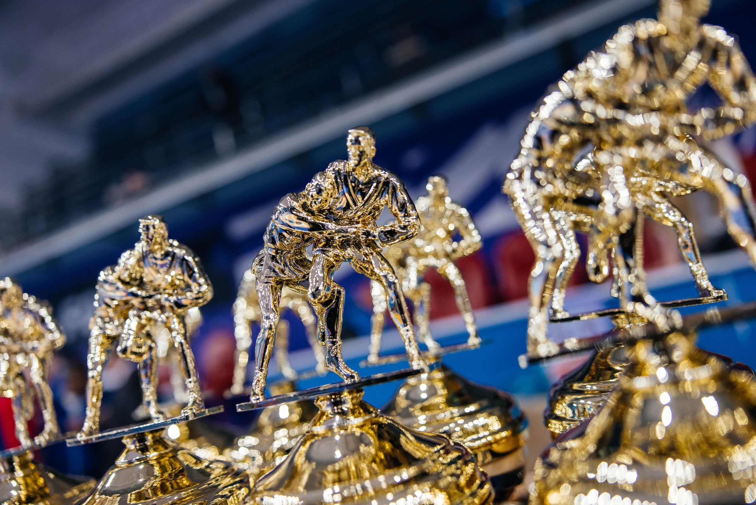 Sambo Championship. Maxim Tsoy Photography