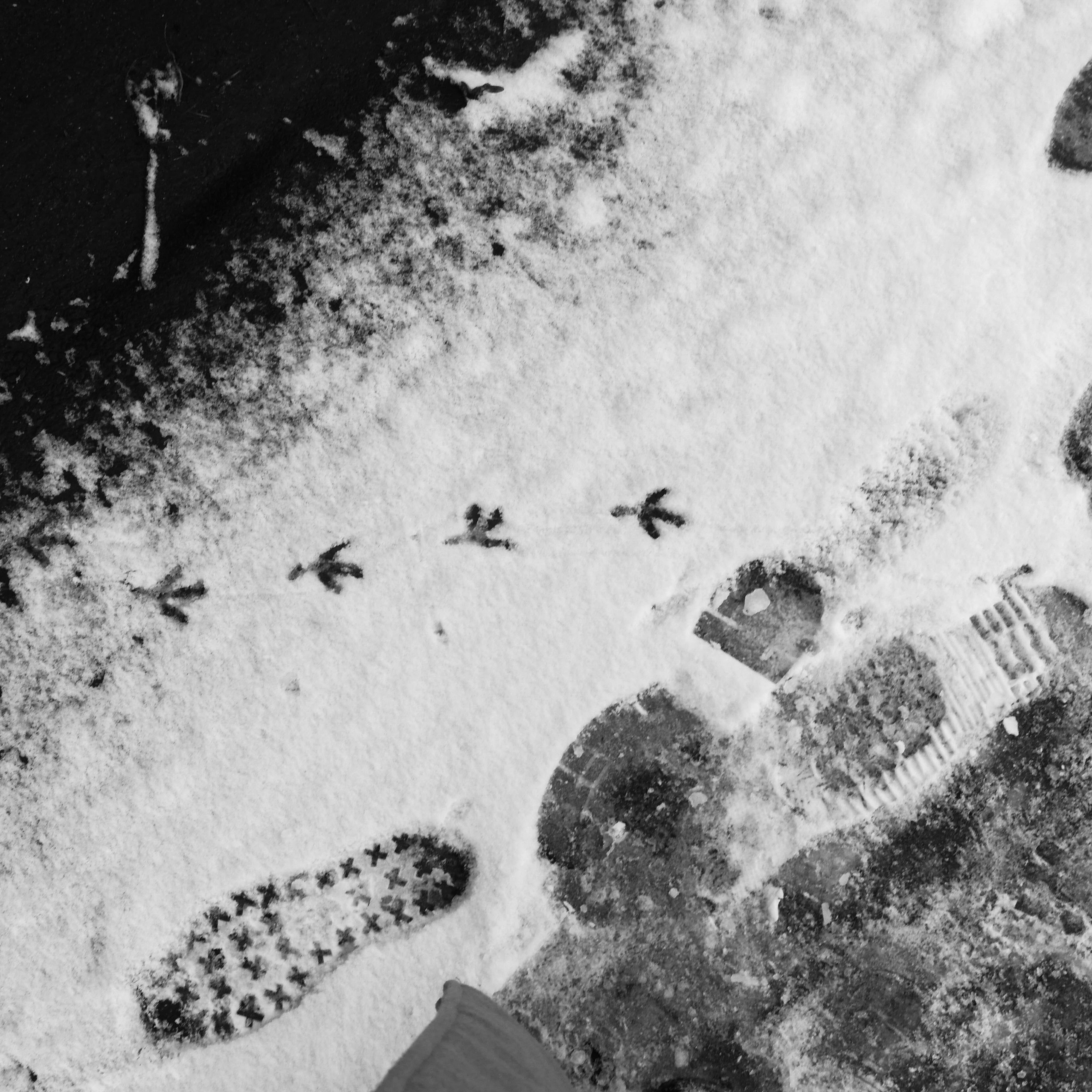 03 14. Shyjungle's Portfolio