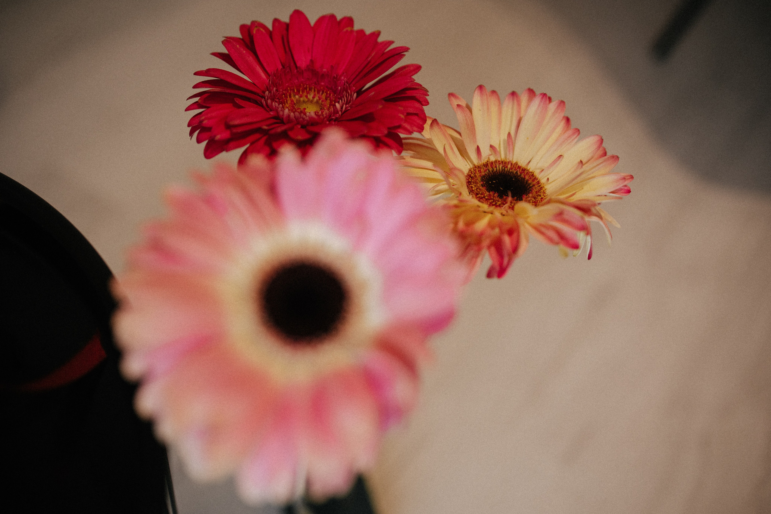 Birthday. Свадебный и портретный фотограф Тюмень