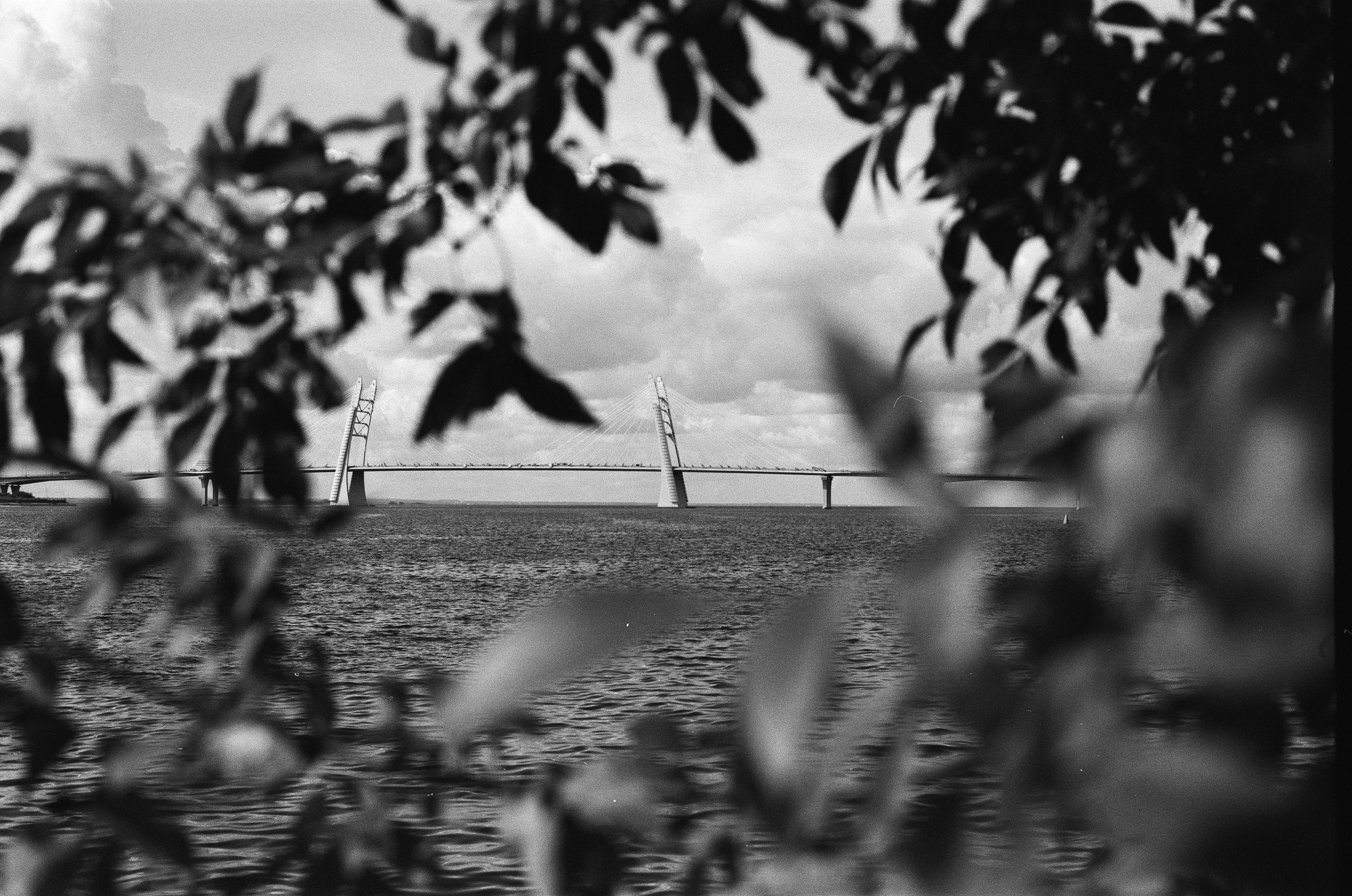 Плёнка🎞️. Фотограф в Москве Ксюшенька