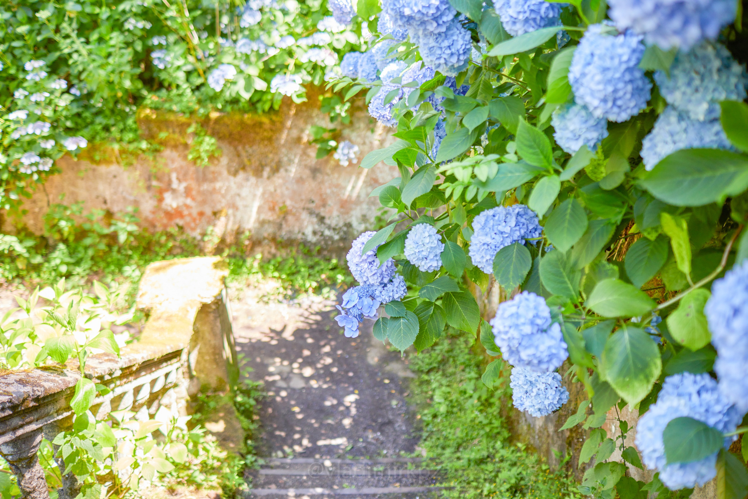 Пртретная фотосъемка в абхазии. Фотограф Абхазия