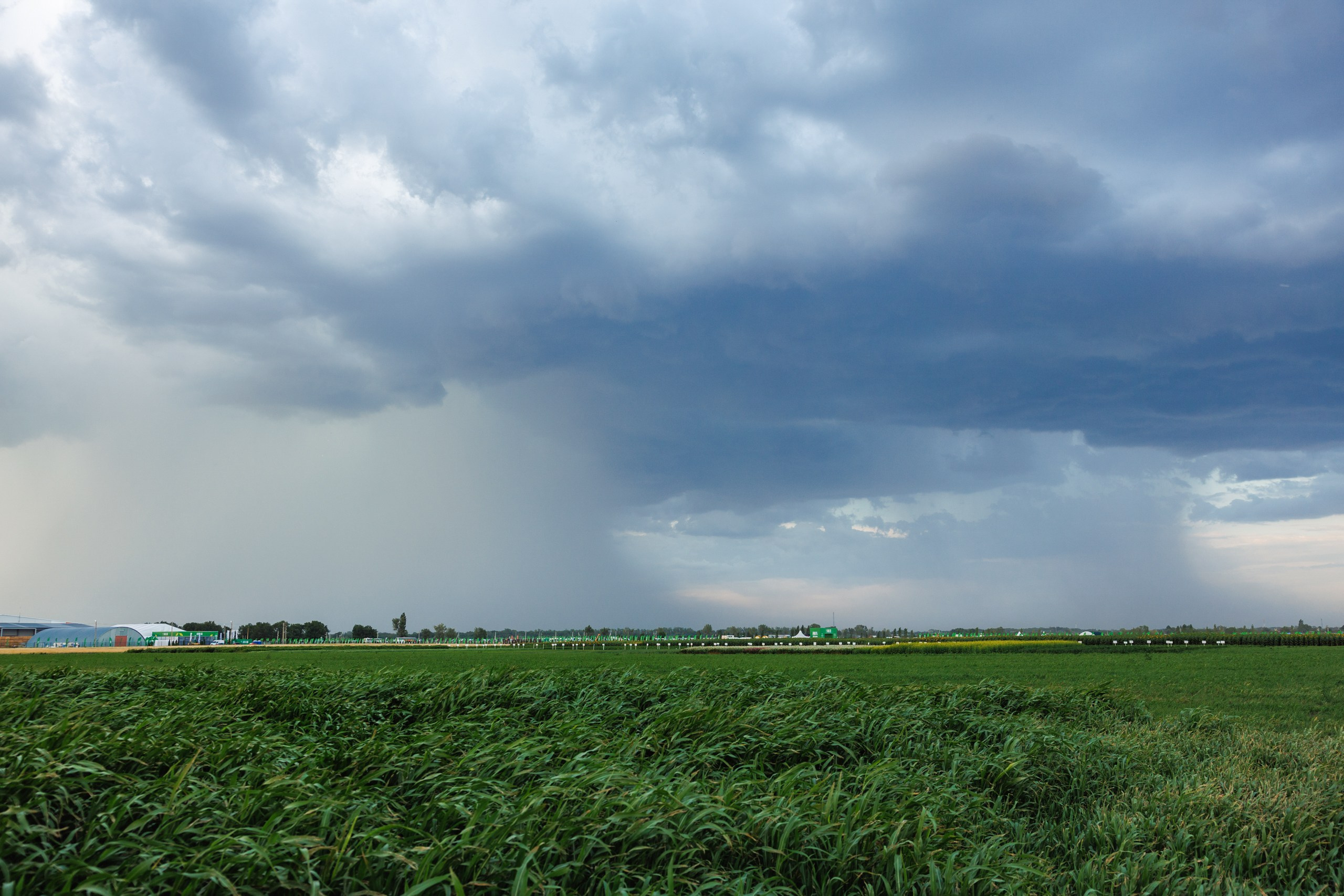 День Поля 2025 Волгоград. Фотограф Ставрополь Петр Голубенко