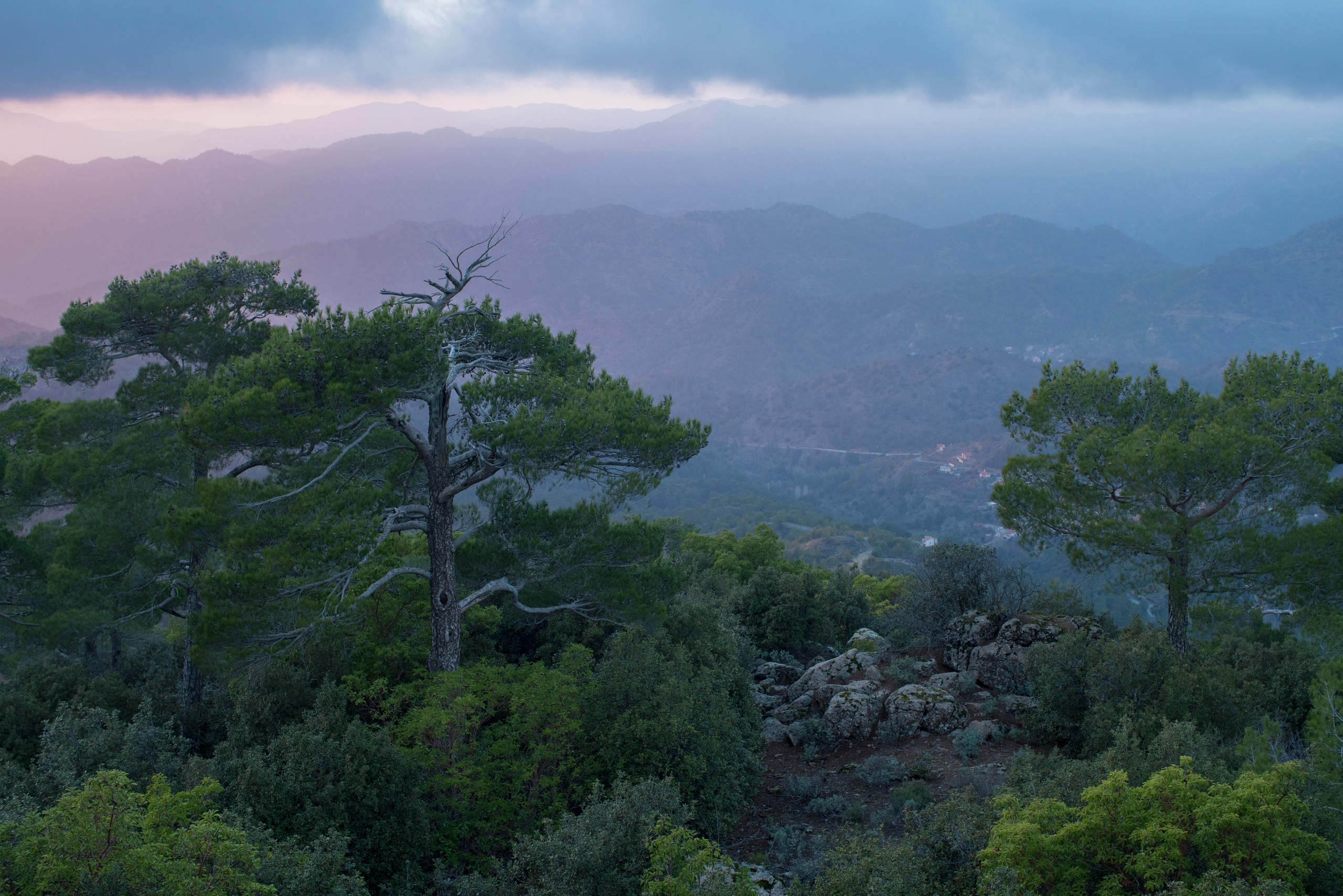 Кипр (январь 2018). Фотограф Сергей Танков