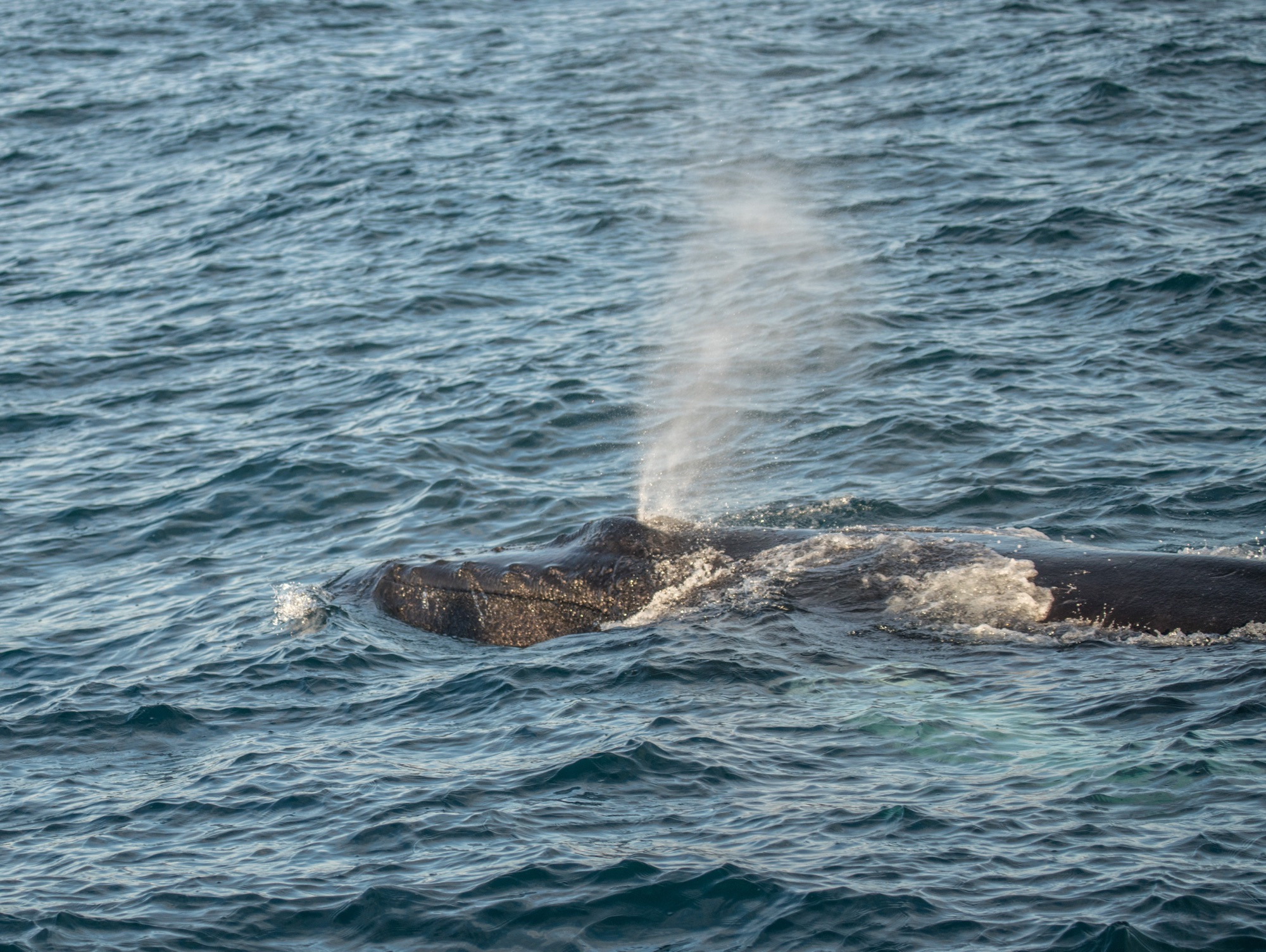 Исландия (август 2018). Фотограф Сергей Танков