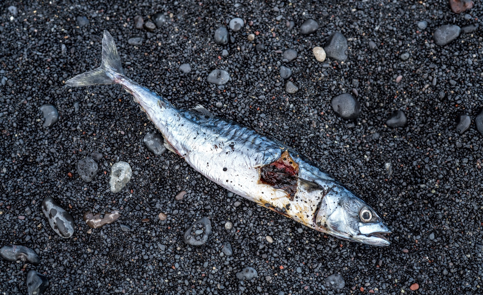 Исландия (август 2018). Фотограф Сергей Танков