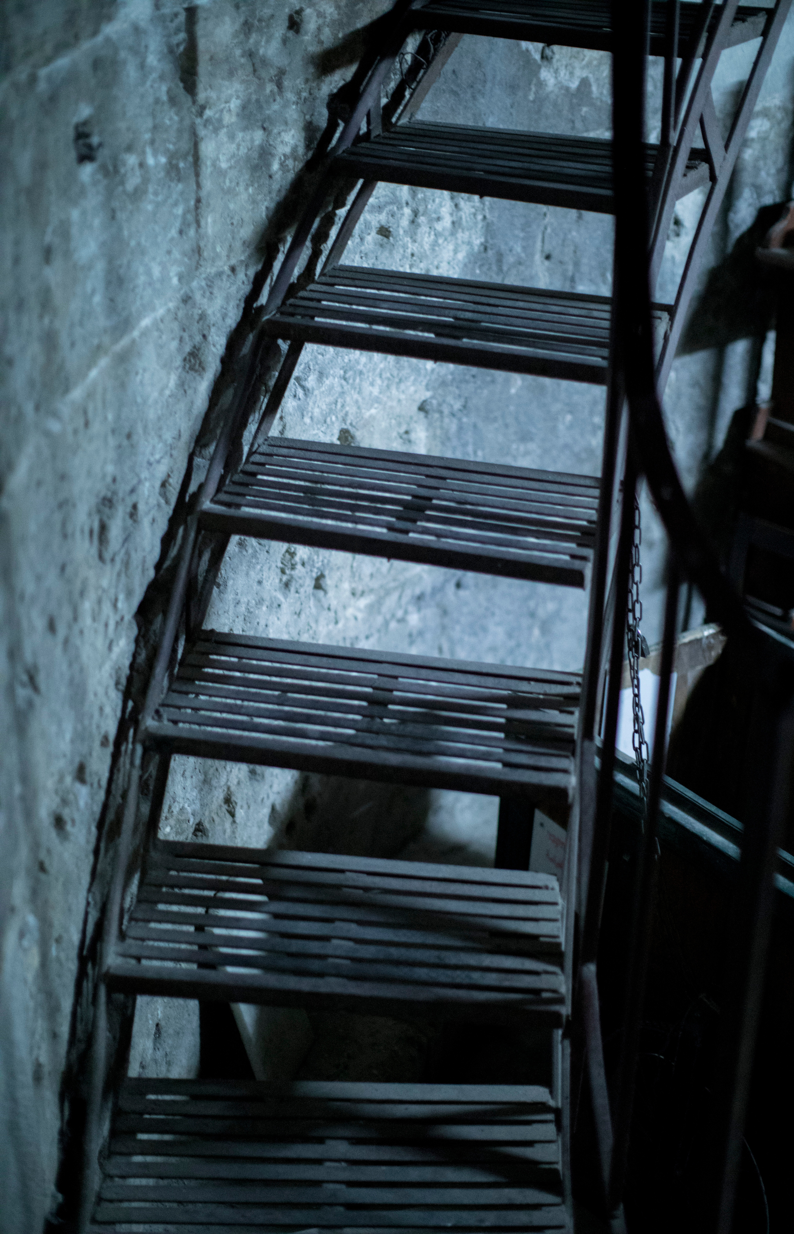 Израиль (январь 2017). Фотограф Сергей Танков