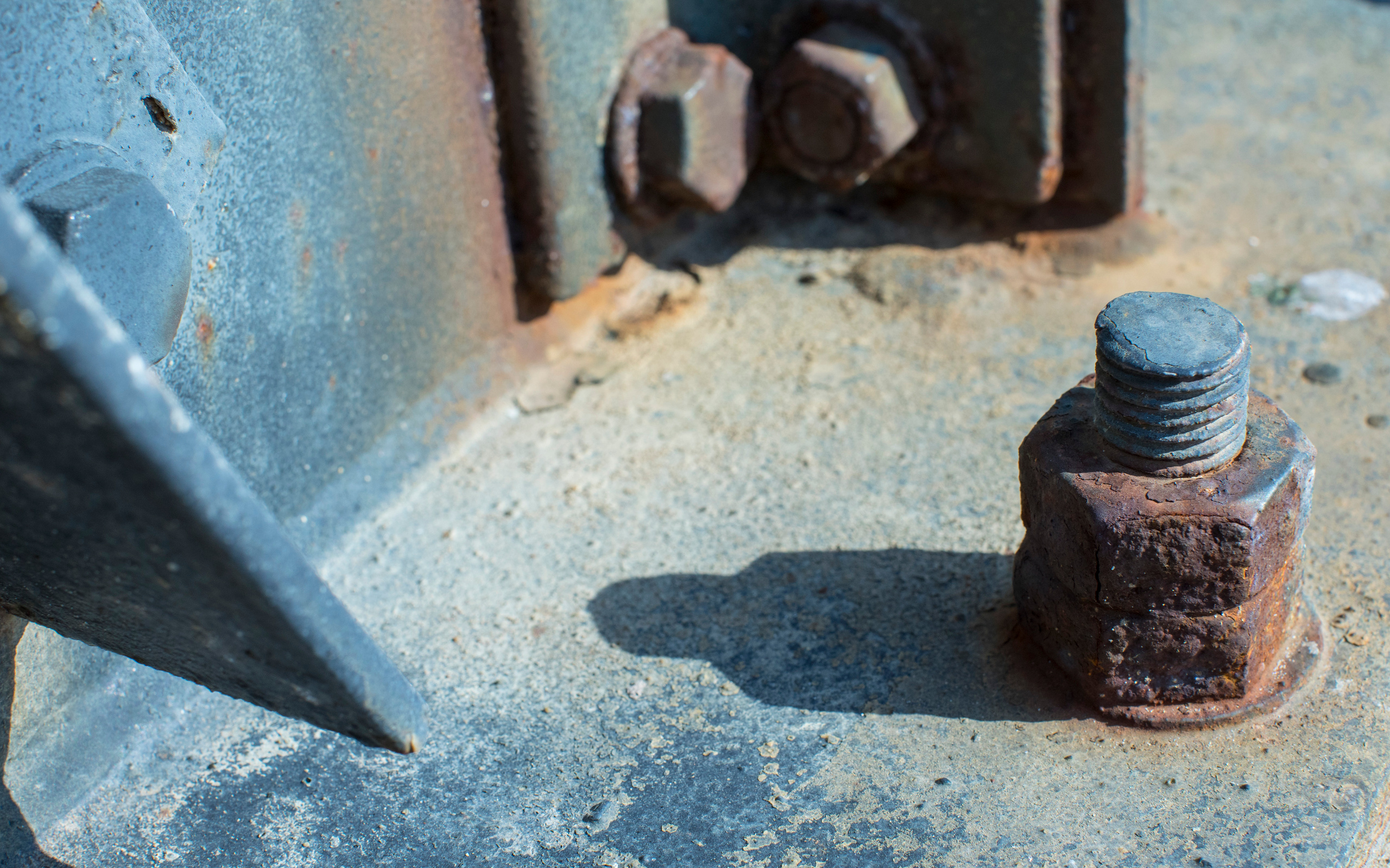 Израиль (январь 2017). Фотограф Сергей Танков