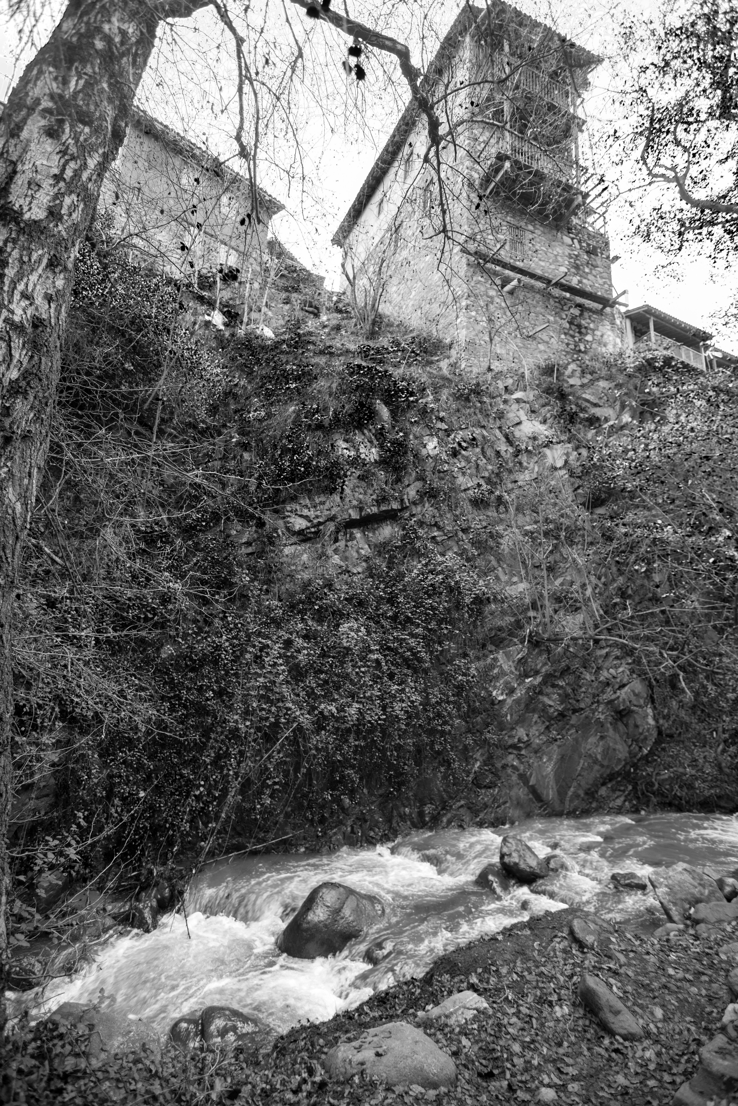 Кипр (январь 2018). Фотограф Сергей Танков