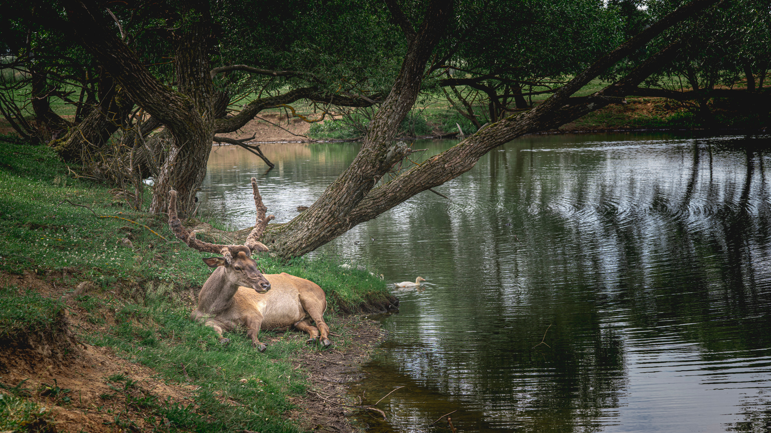 Ранчо. Фотограф Сергей Танков