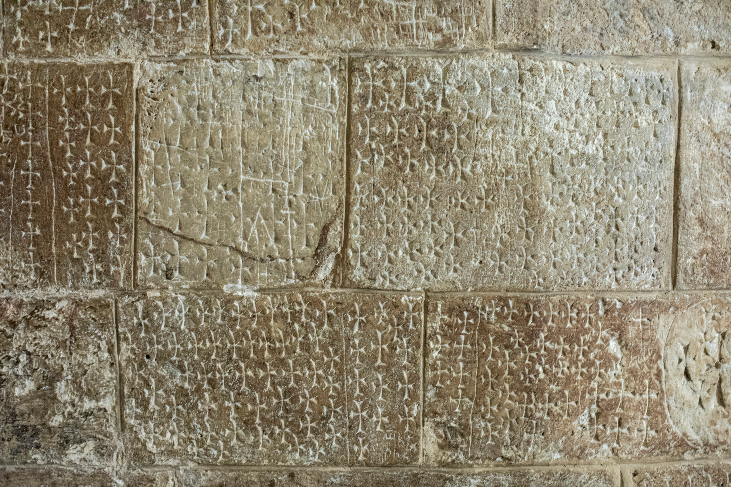 Израиль (январь 2017). Фотограф Сергей Танков