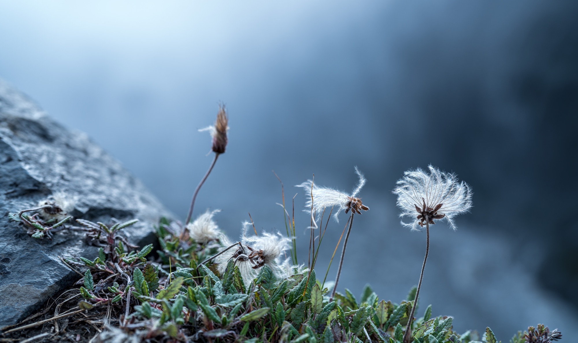Исландия (август 2018). Фотограф Сергей Танков