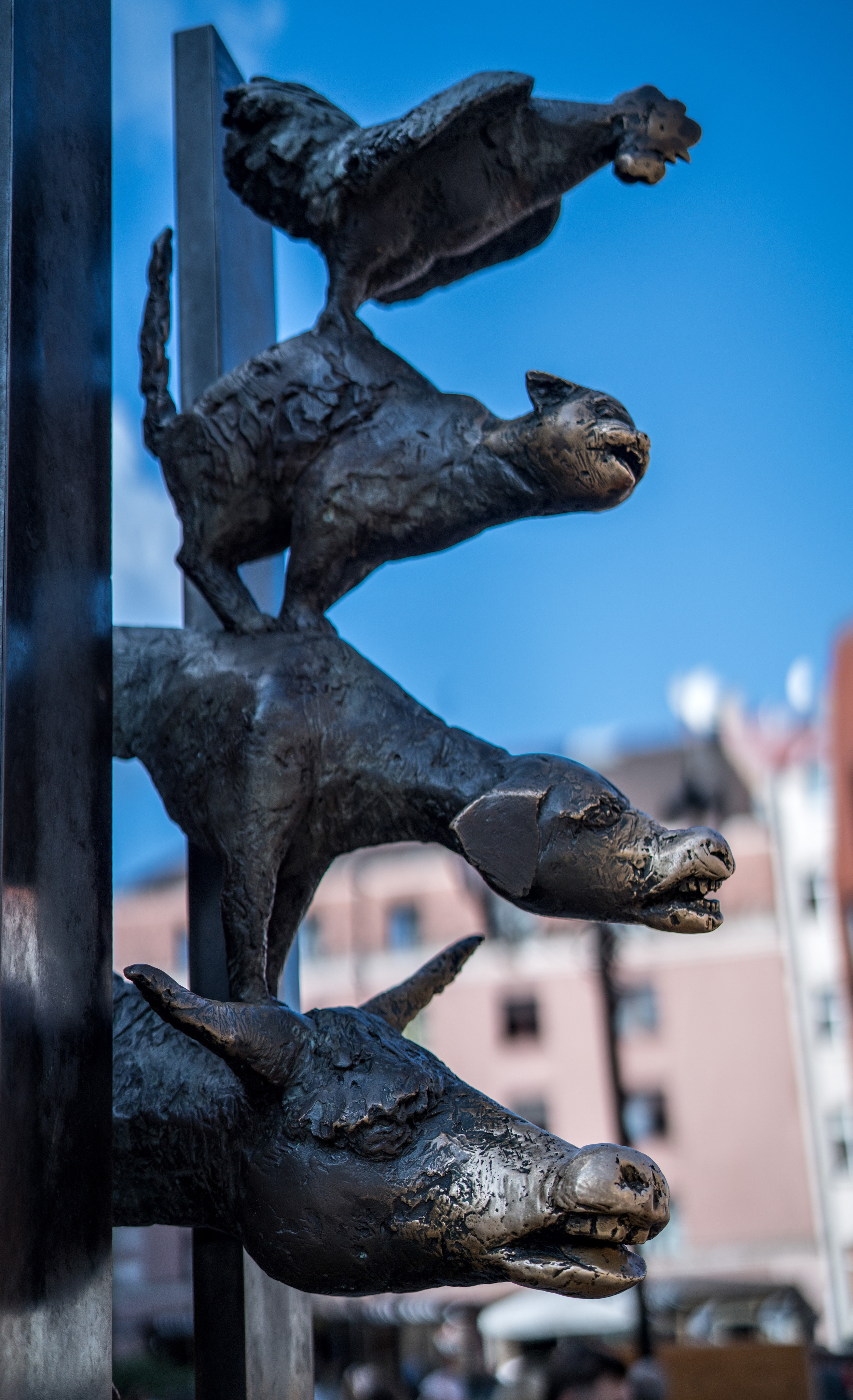 Рига (август 2018). Фотограф Сергей Танков