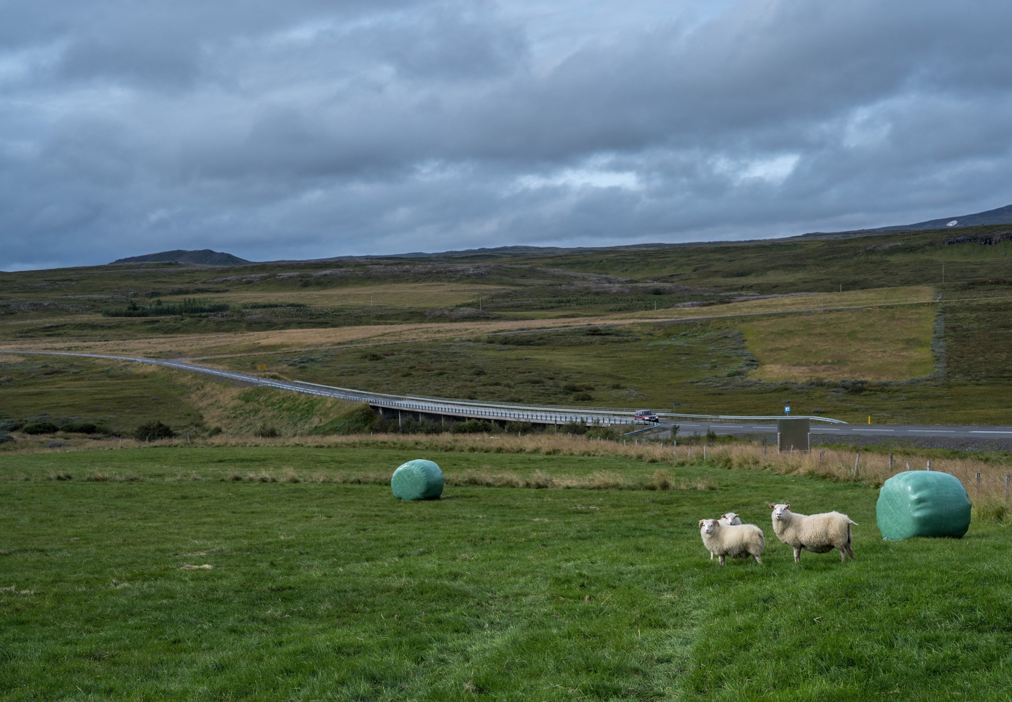 Исландия (август 2018). Фотограф Сергей Танков