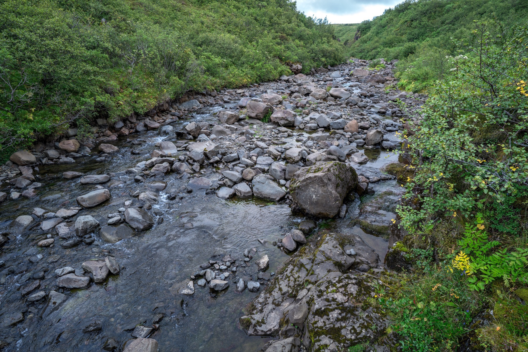 Исландия (август 2018). Фотограф Сергей Танков