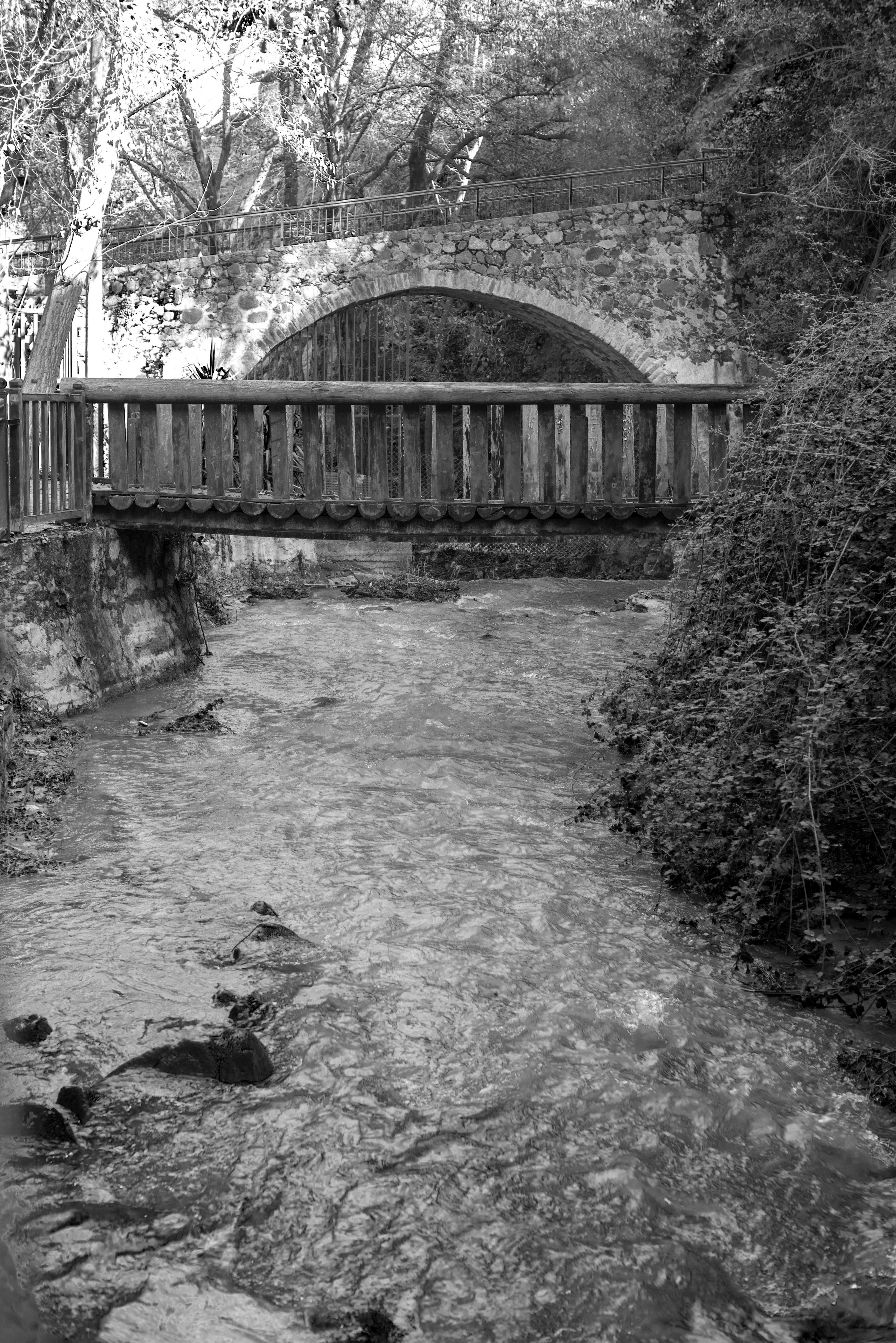 Кипр (январь 2018). Фотограф Сергей Танков