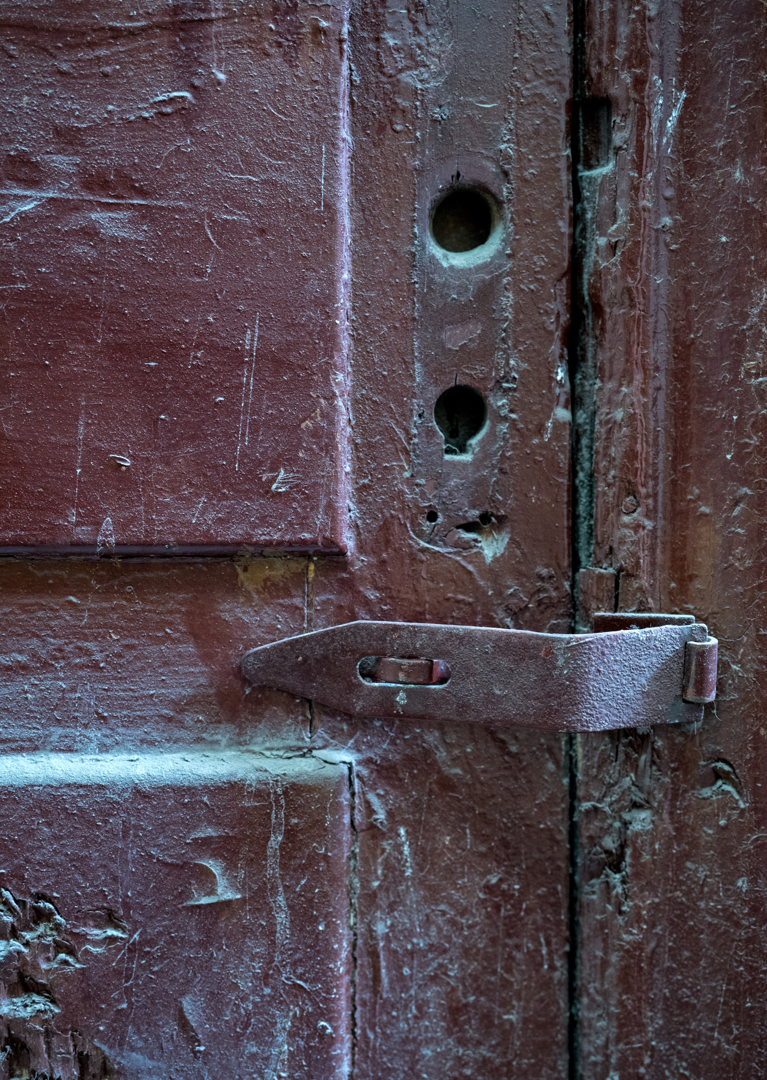 Питер (июль 2018). Фотограф Сергей Танков