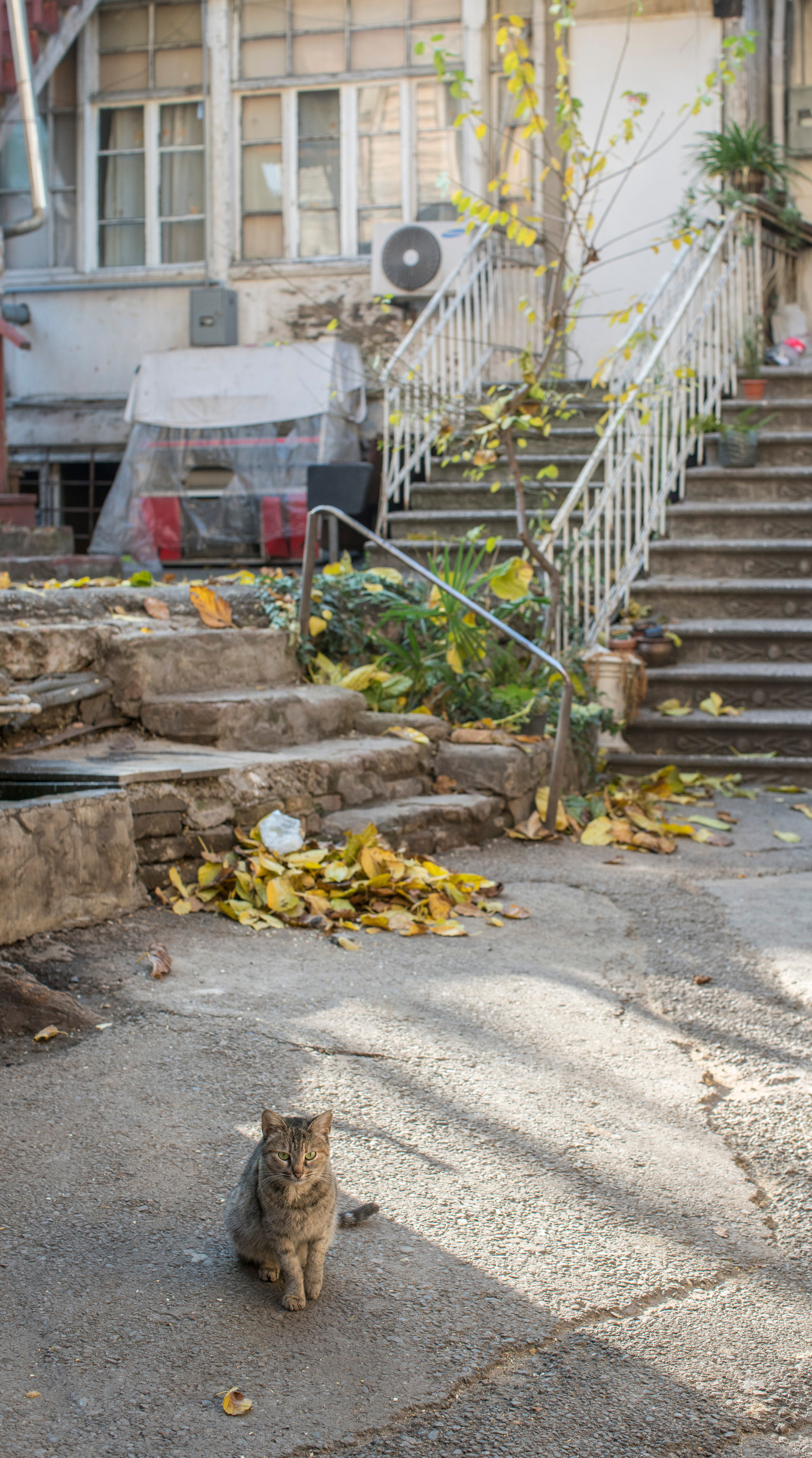 Грузия (декабрь 2017). Фотограф Сергей Танков
