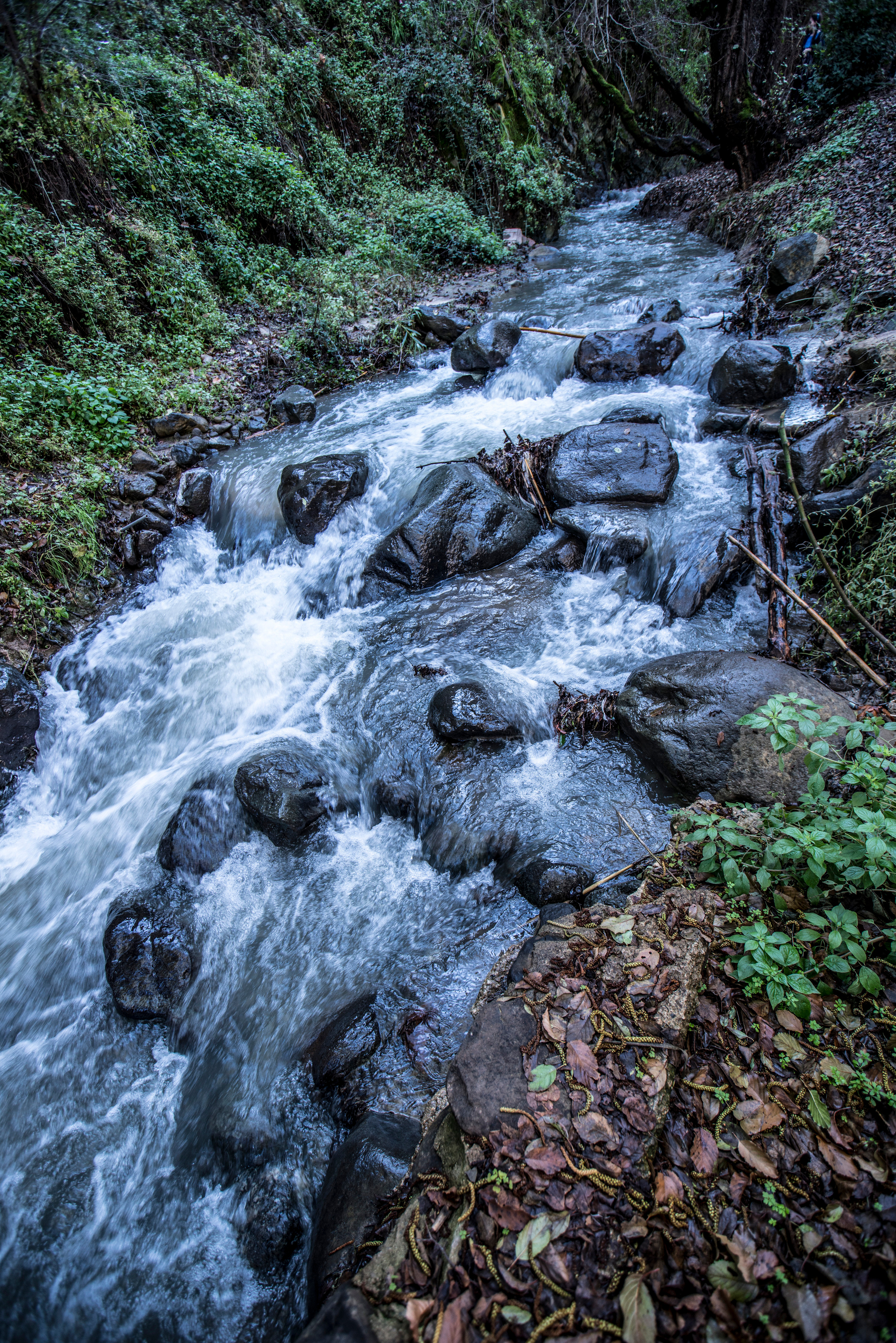 Кипр (январь 2018). Фотограф Сергей Танков