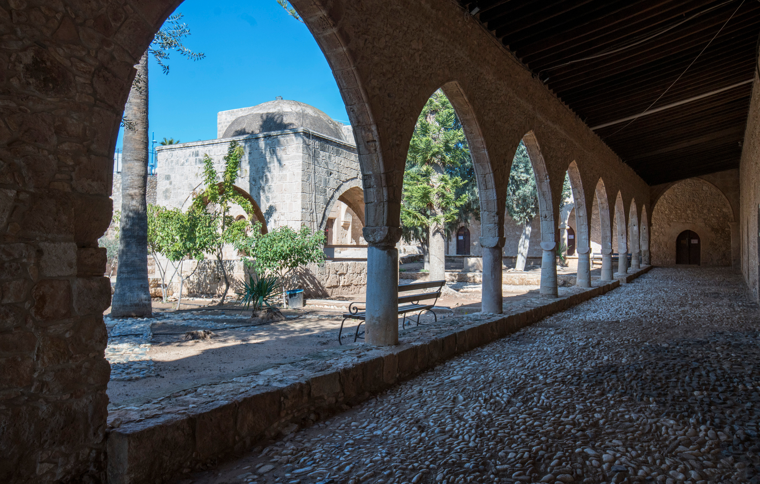 Кипр (январь 2018). Фотограф Сергей Танков