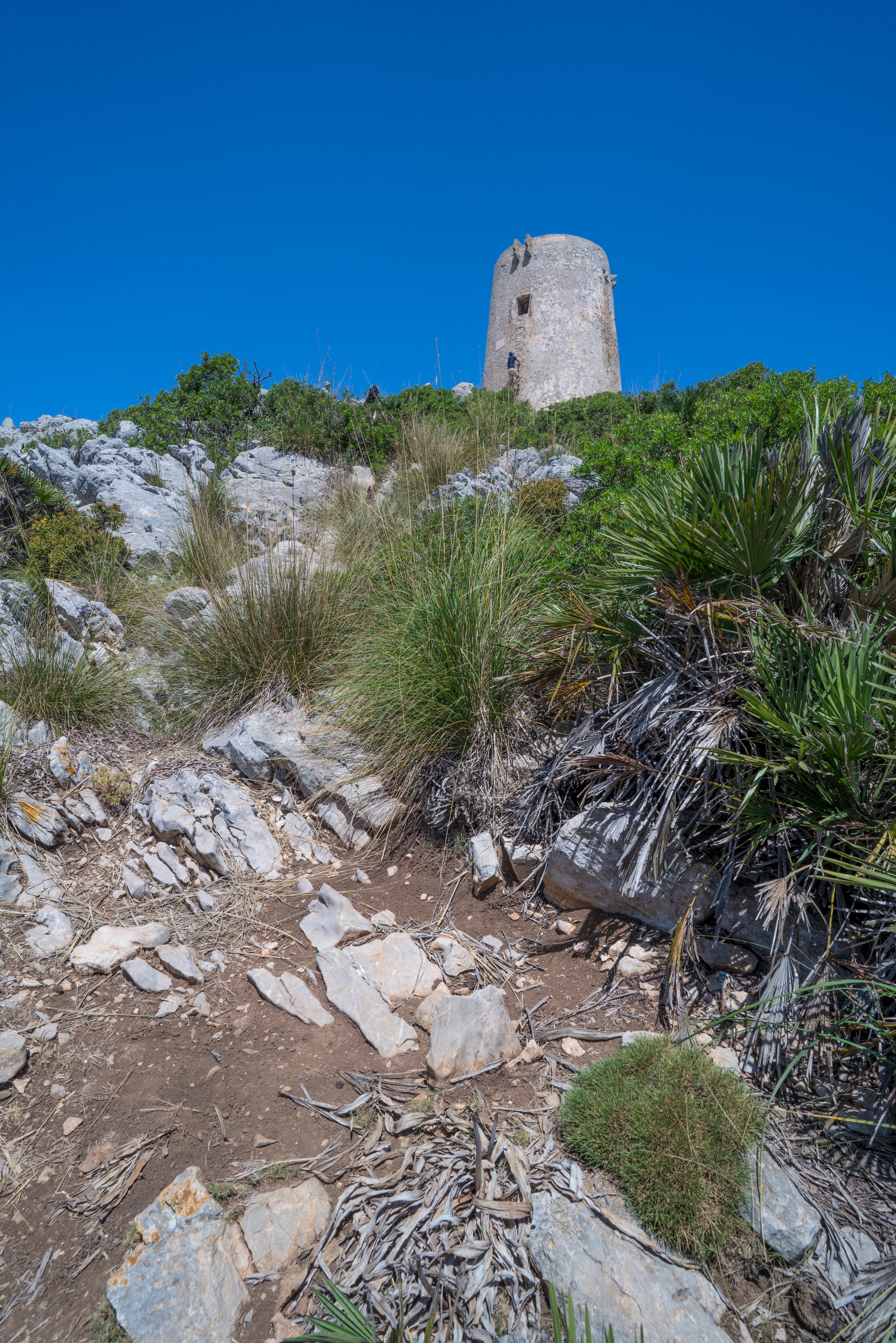 Майорка (июль 2018). Фотограф Сергей Танков