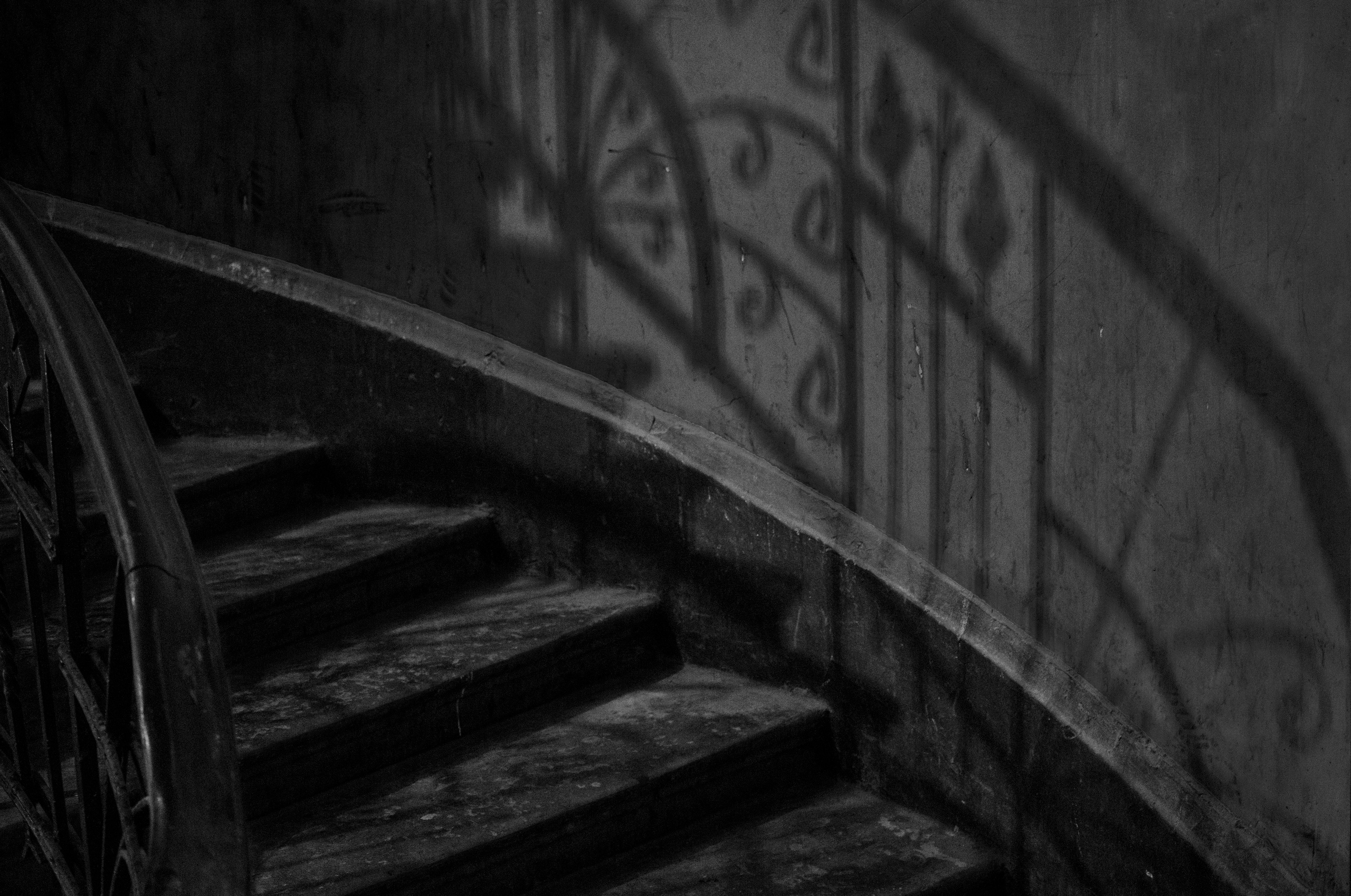 Питер. Парадные (октябрь 2017). Фотограф Сергей Танков