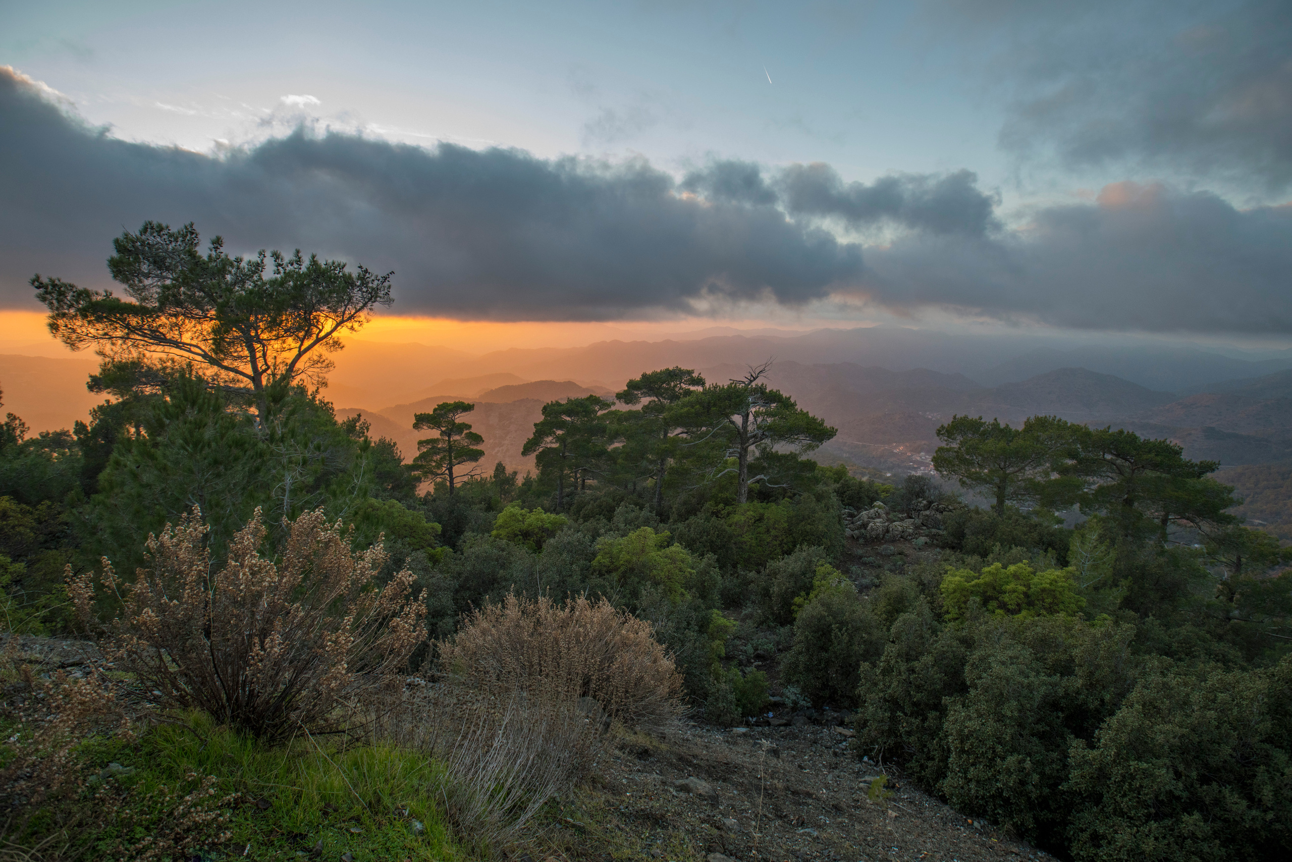 Кипр (январь 2018). Фотограф Сергей Танков