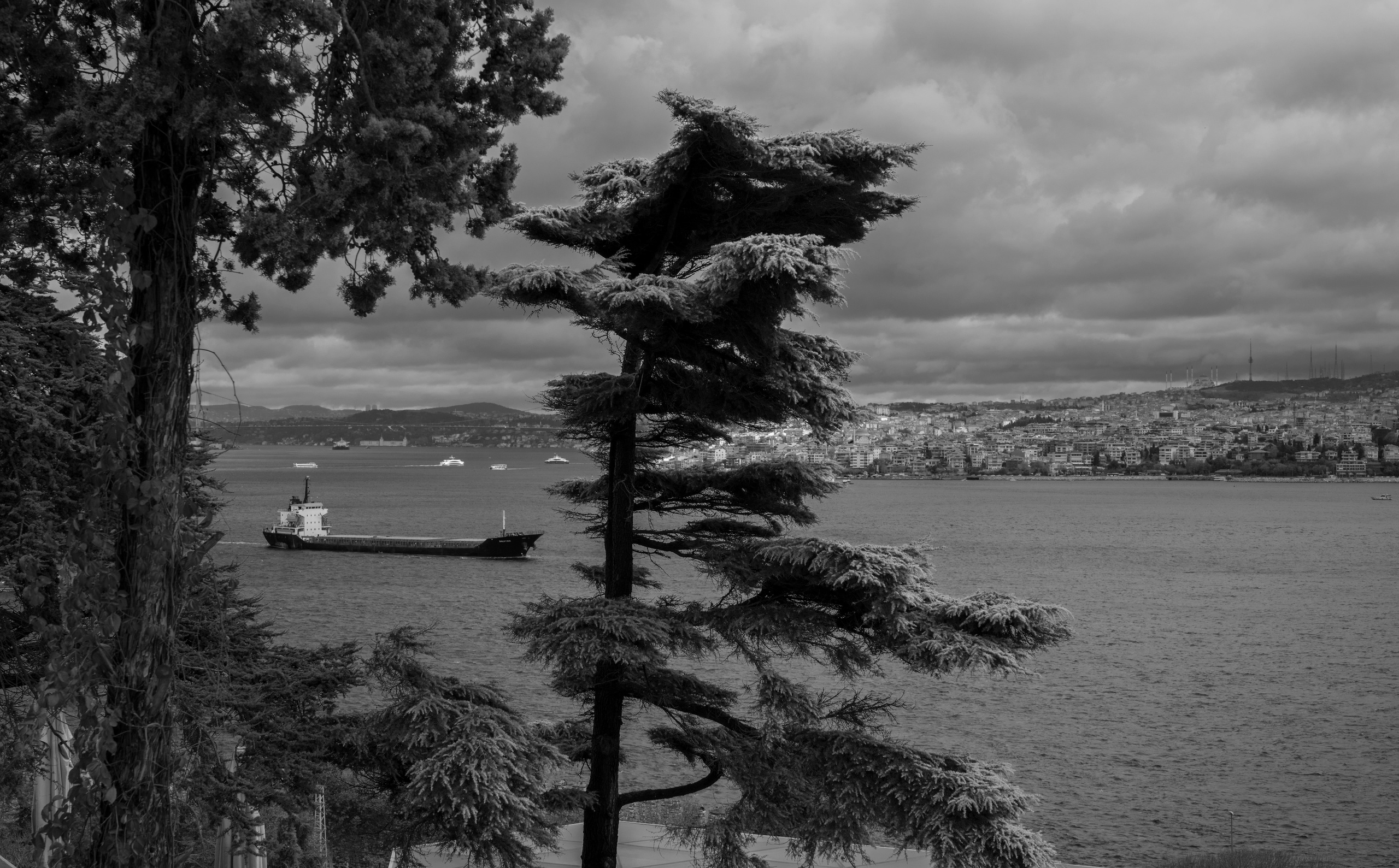 Стамбул (ноябрь 2018). Фотограф Сергей Танков