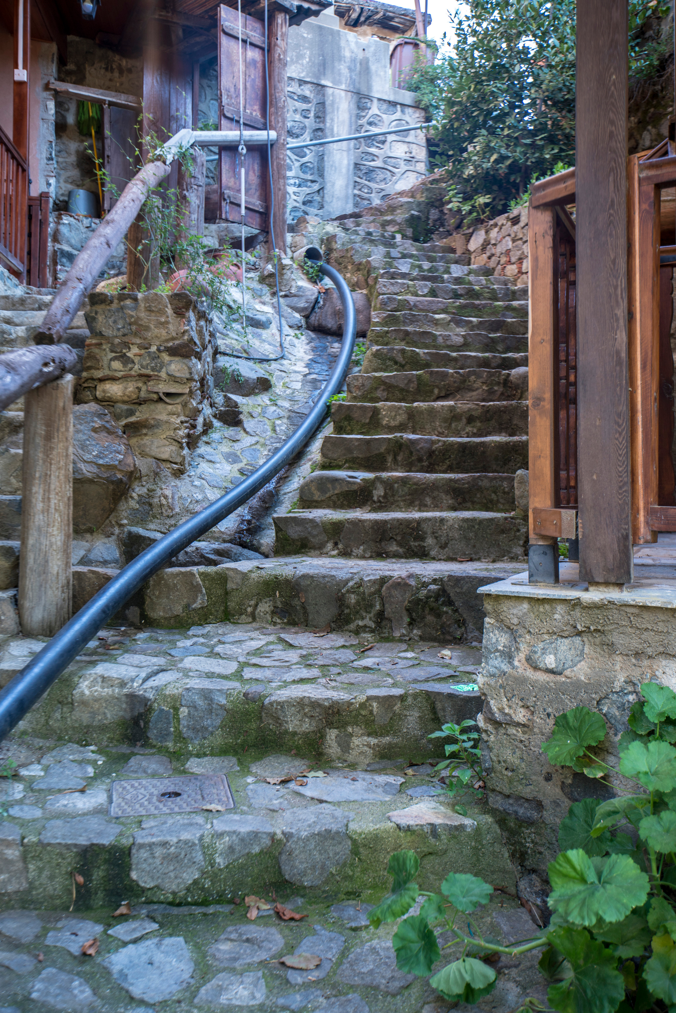 Кипр (январь 2018). Фотограф Сергей Танков