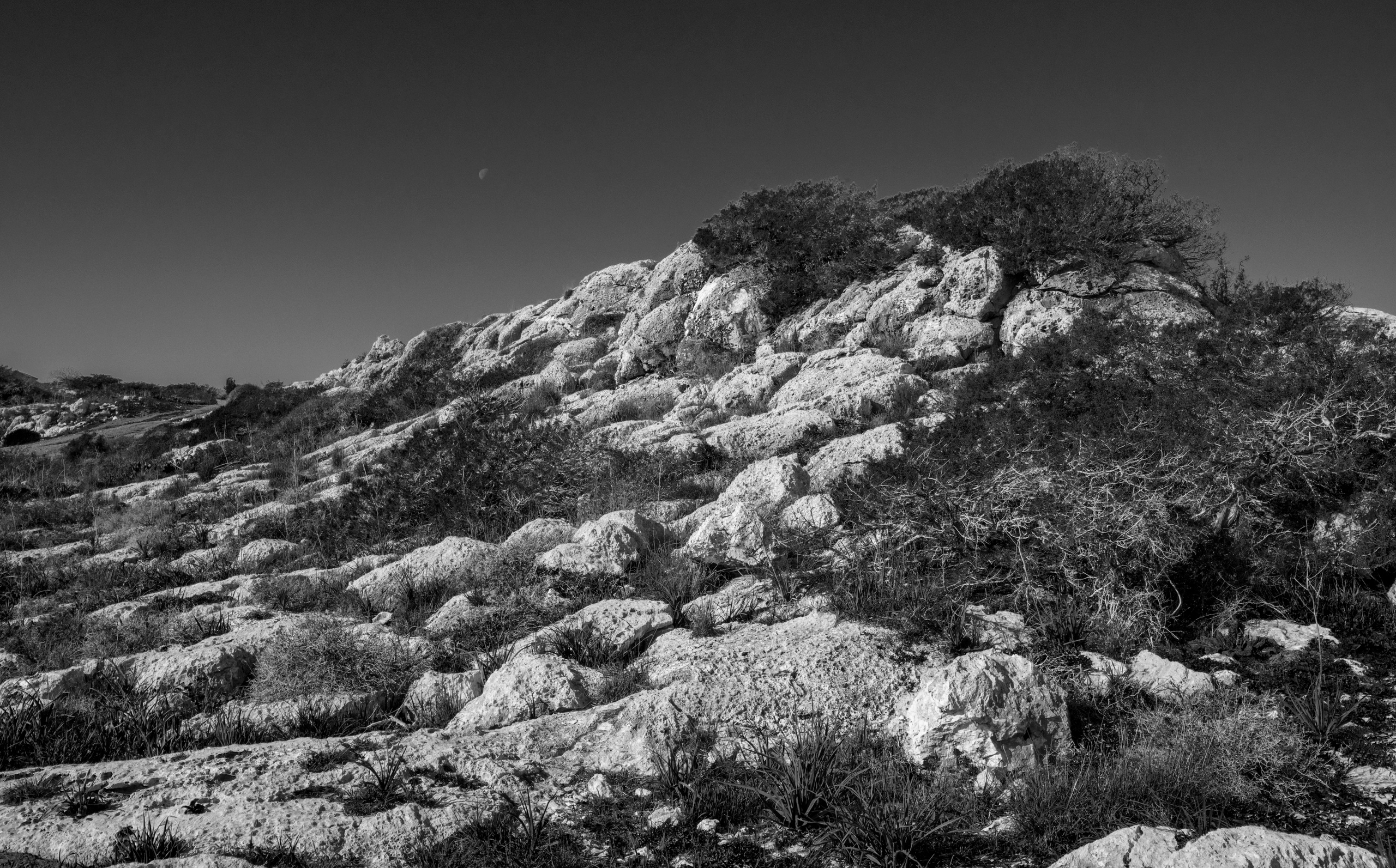 Кипр (январь 2018). Фотограф Сергей Танков