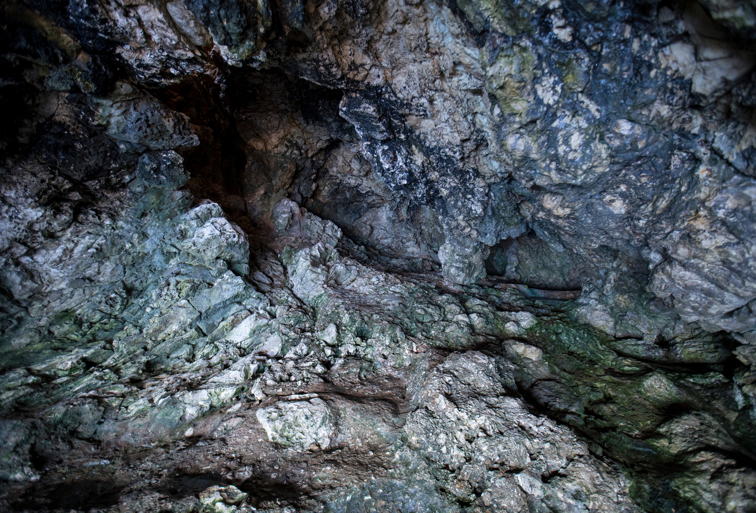 Кипр (январь 2018). Фотограф Сергей Танков