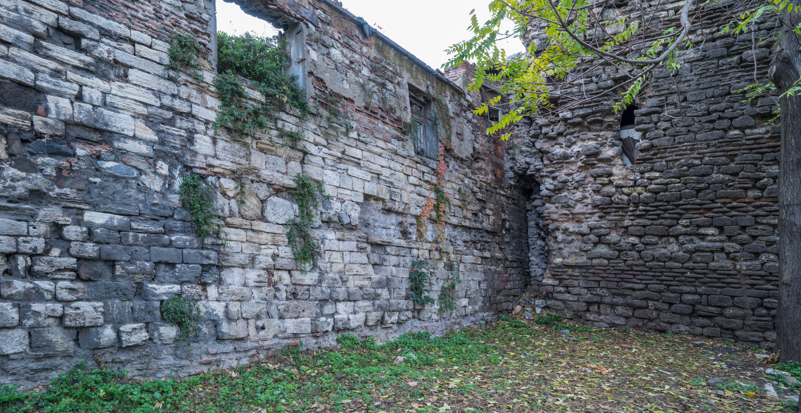 Стамбул (ноябрь 2018). Фотограф Сергей Танков