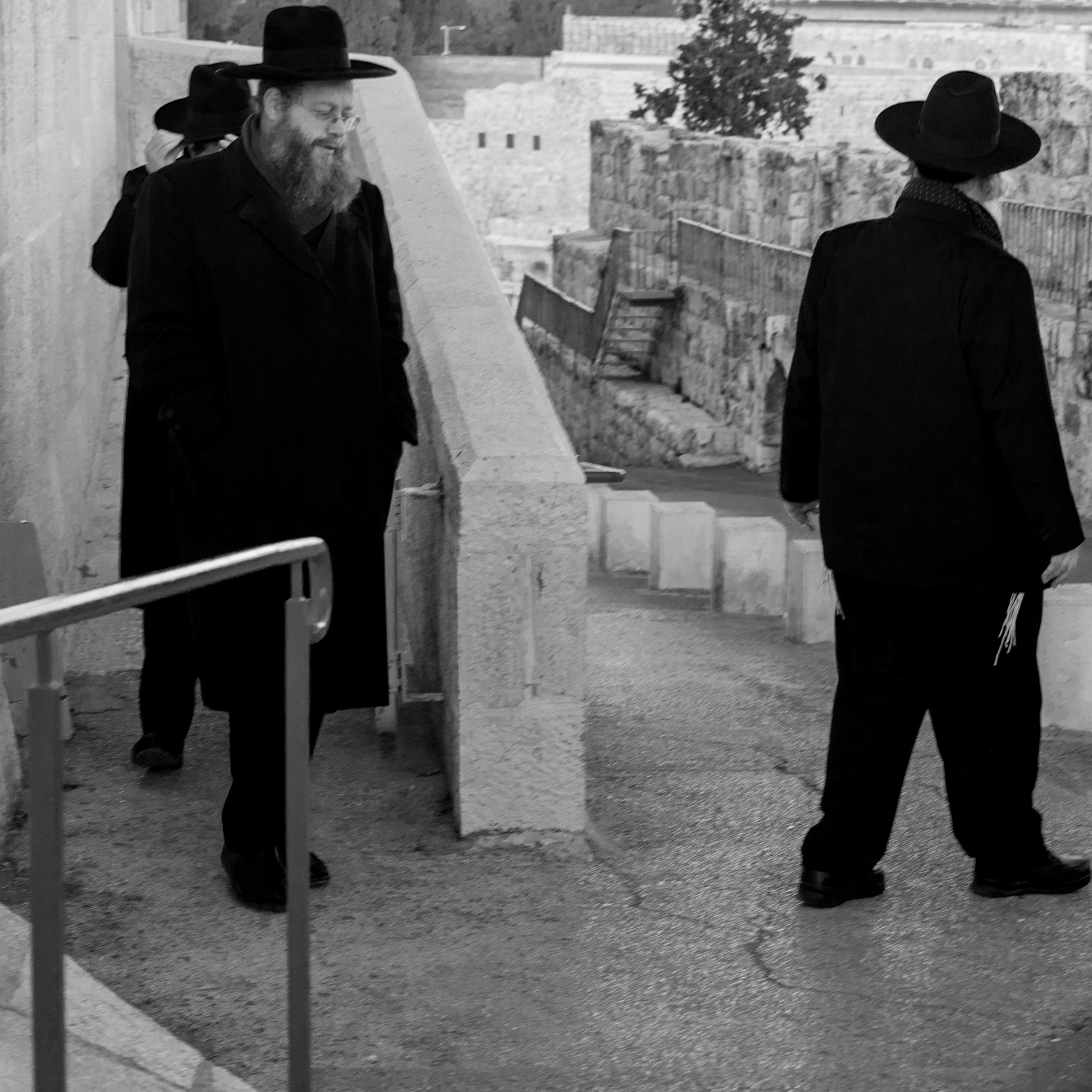 Израиль (январь 2017). Фотограф Сергей Танков