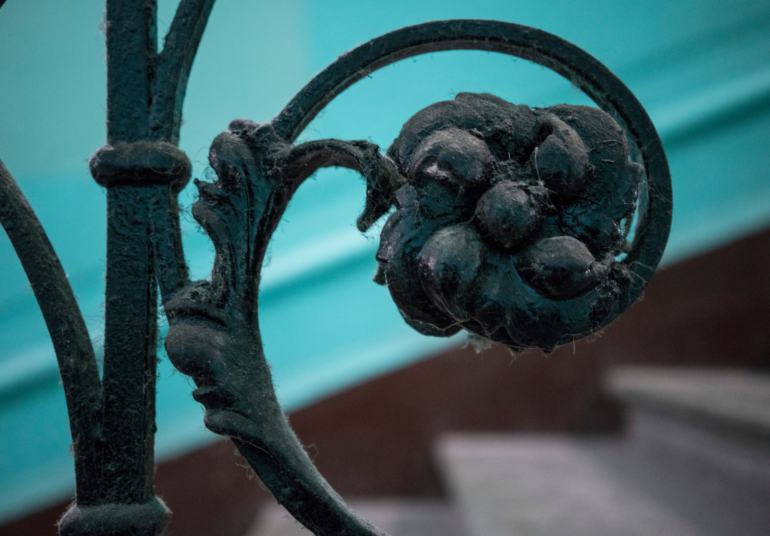 Питер. Парадные (октябрь 2017). Фотограф Сергей Танков