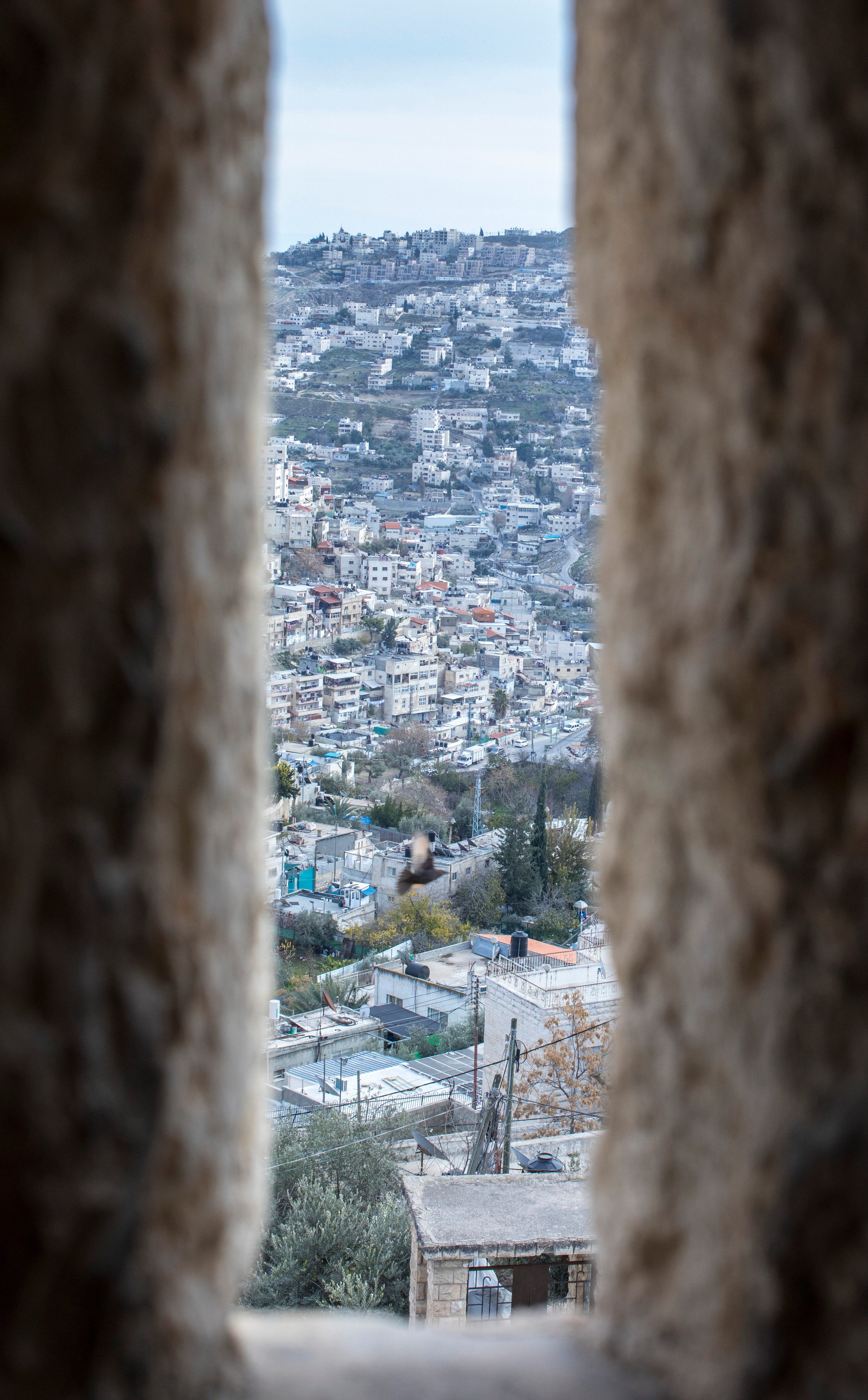 Израиль (январь 2017). Фотограф Сергей Танков