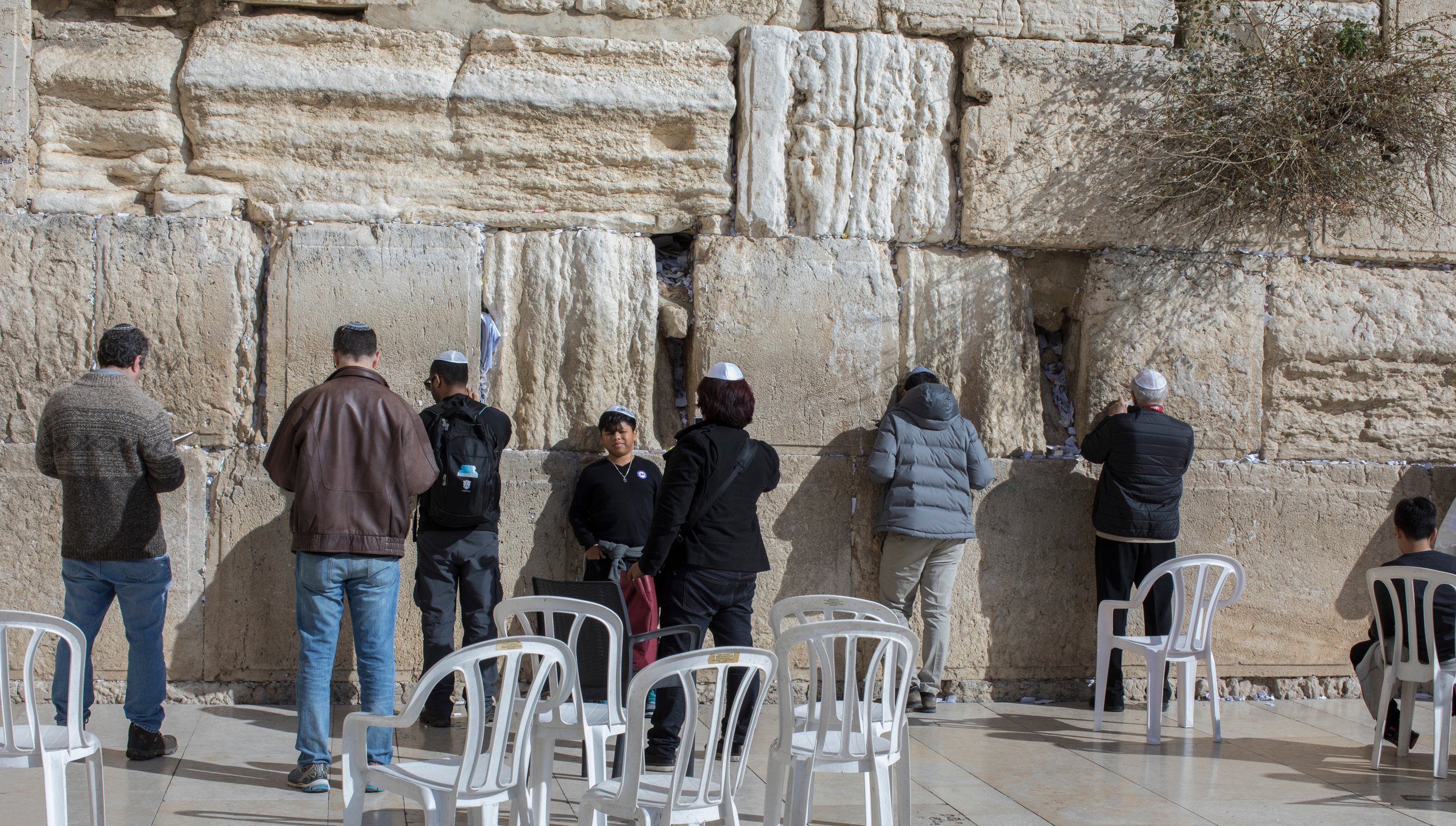 Израиль (январь 2017). Фотограф Сергей Танков