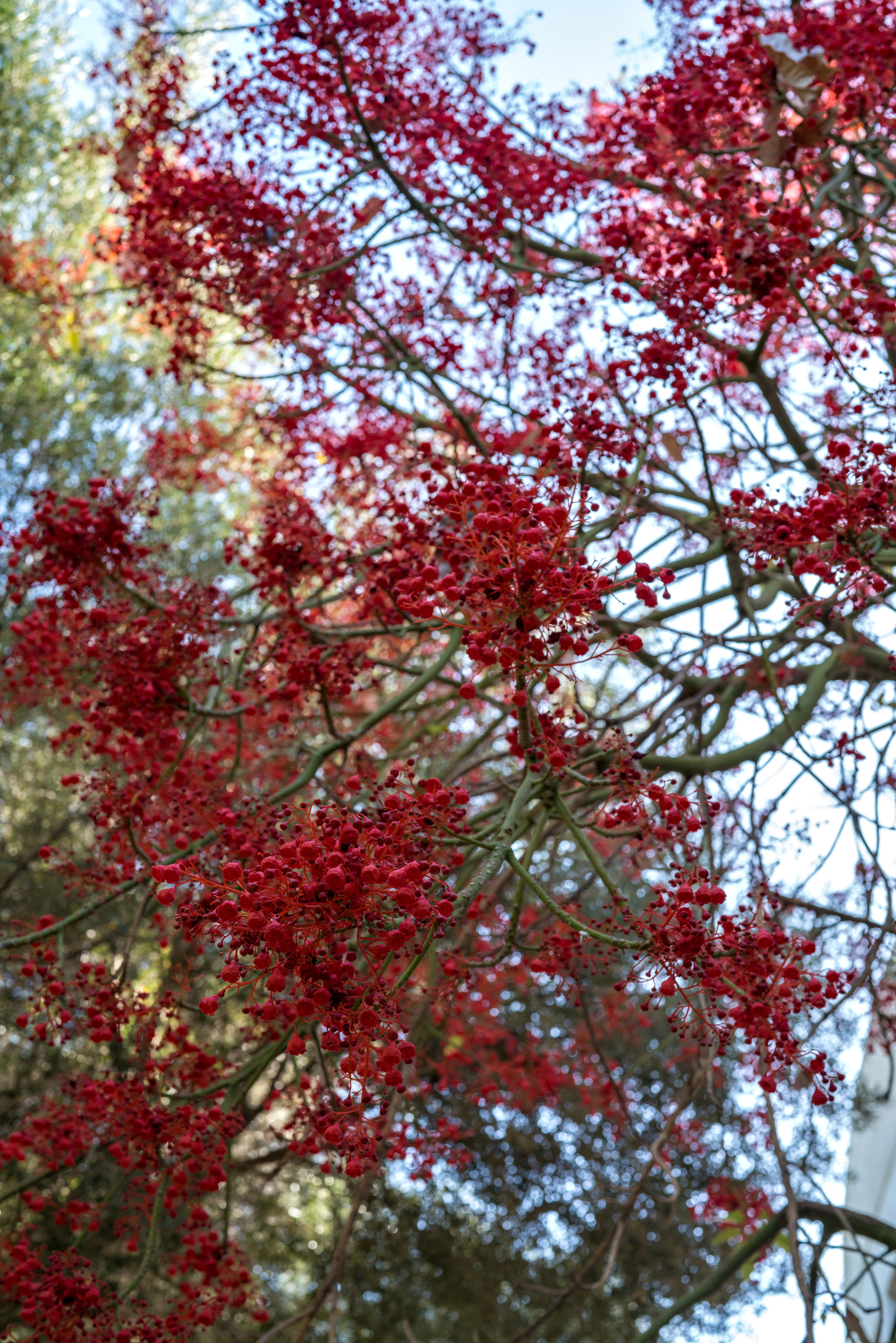 Майорка (июль 2018). Фотограф Сергей Танков