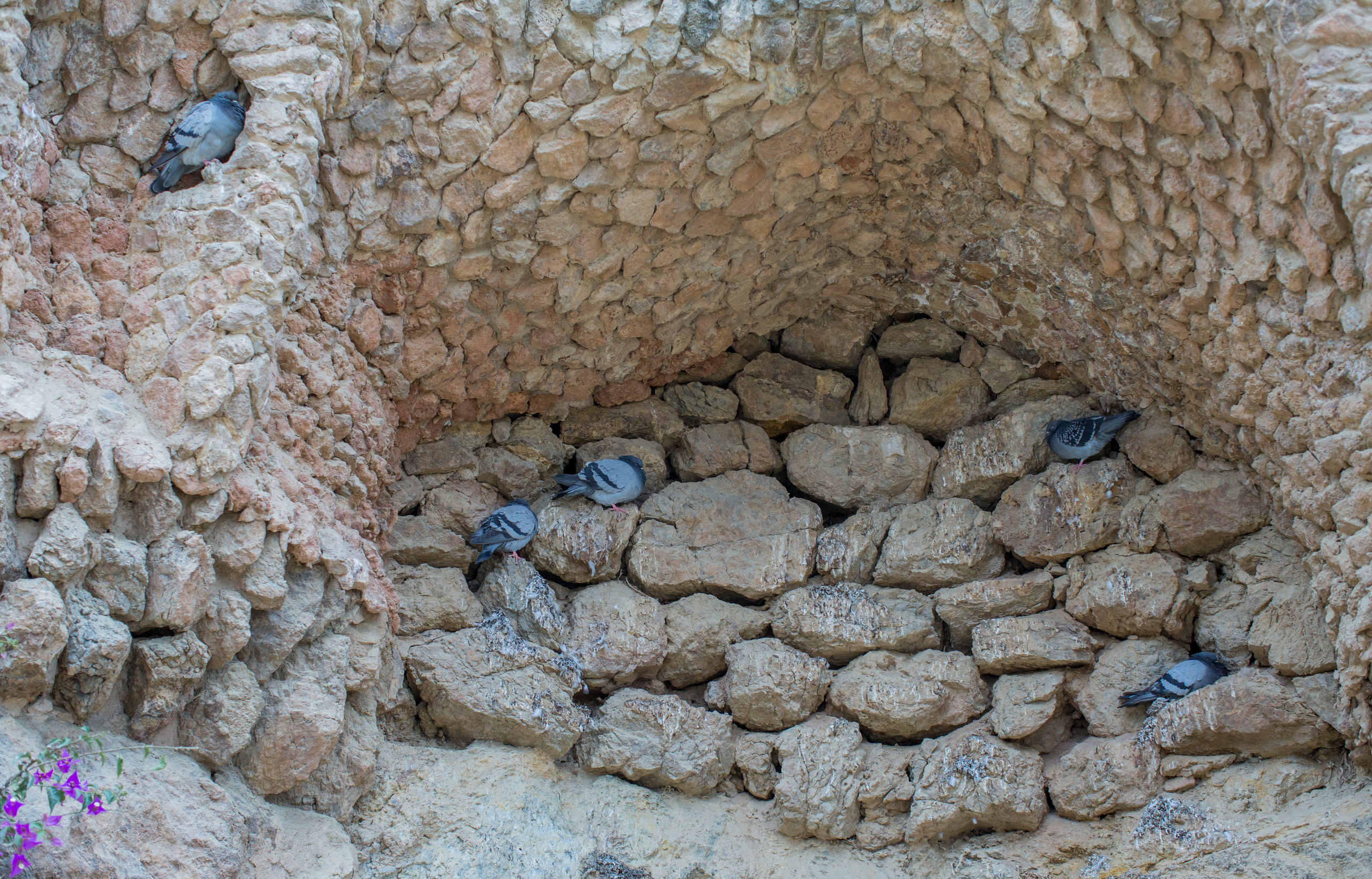 Барселона (октябрь 2015). Фотограф Сергей Танков